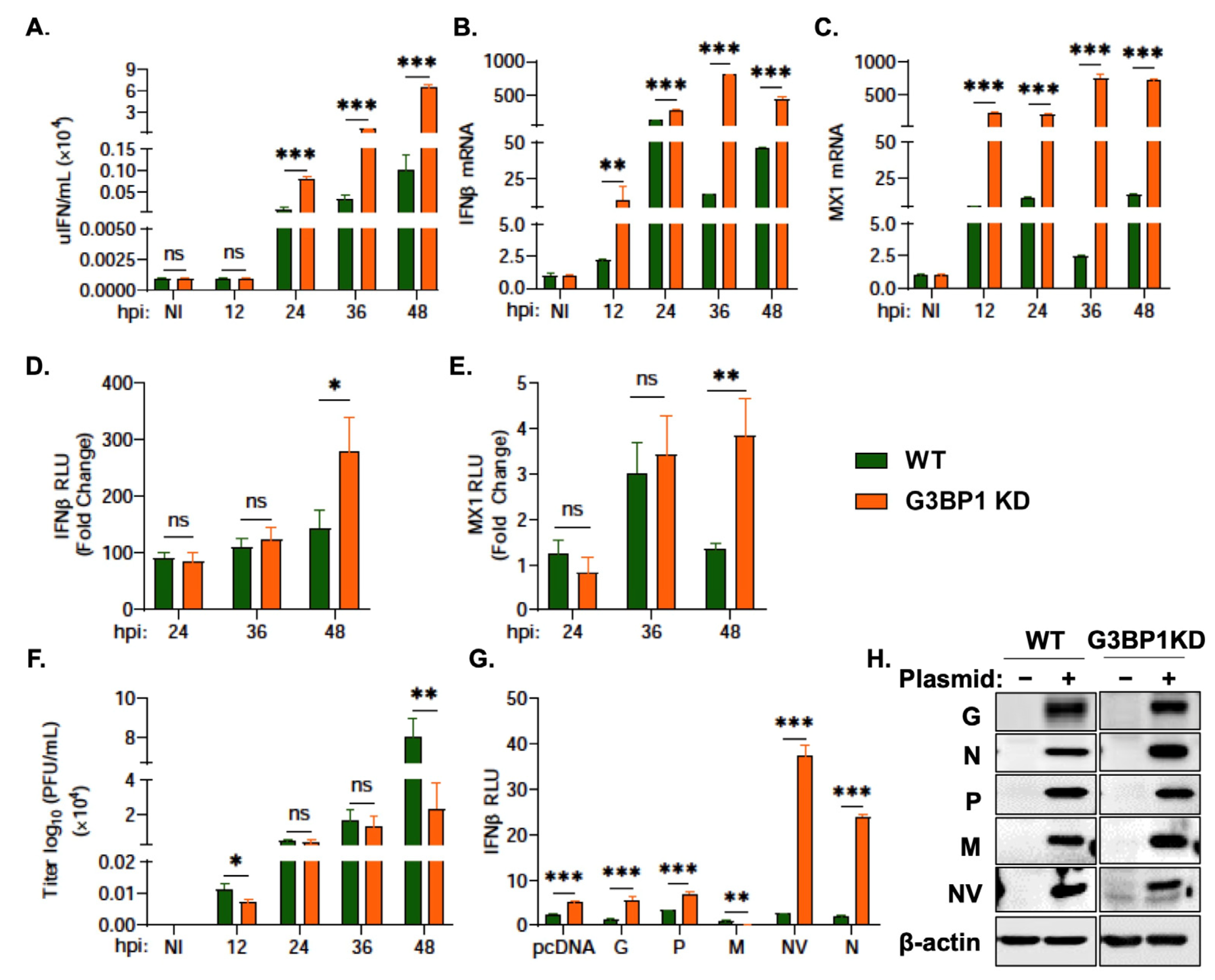 Viruses 15 00466 g006