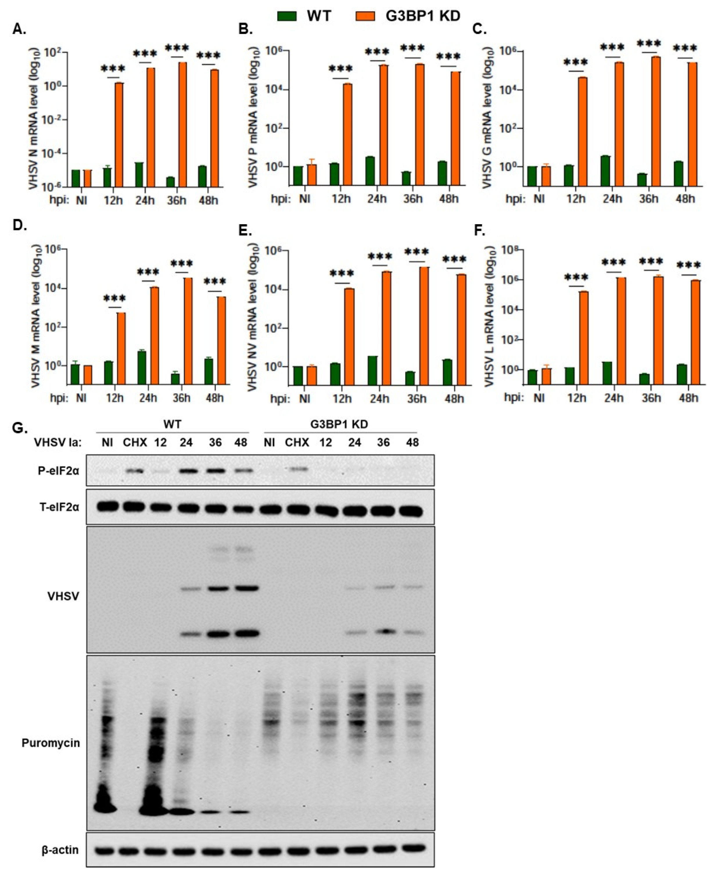 Viruses 15 00466 g007