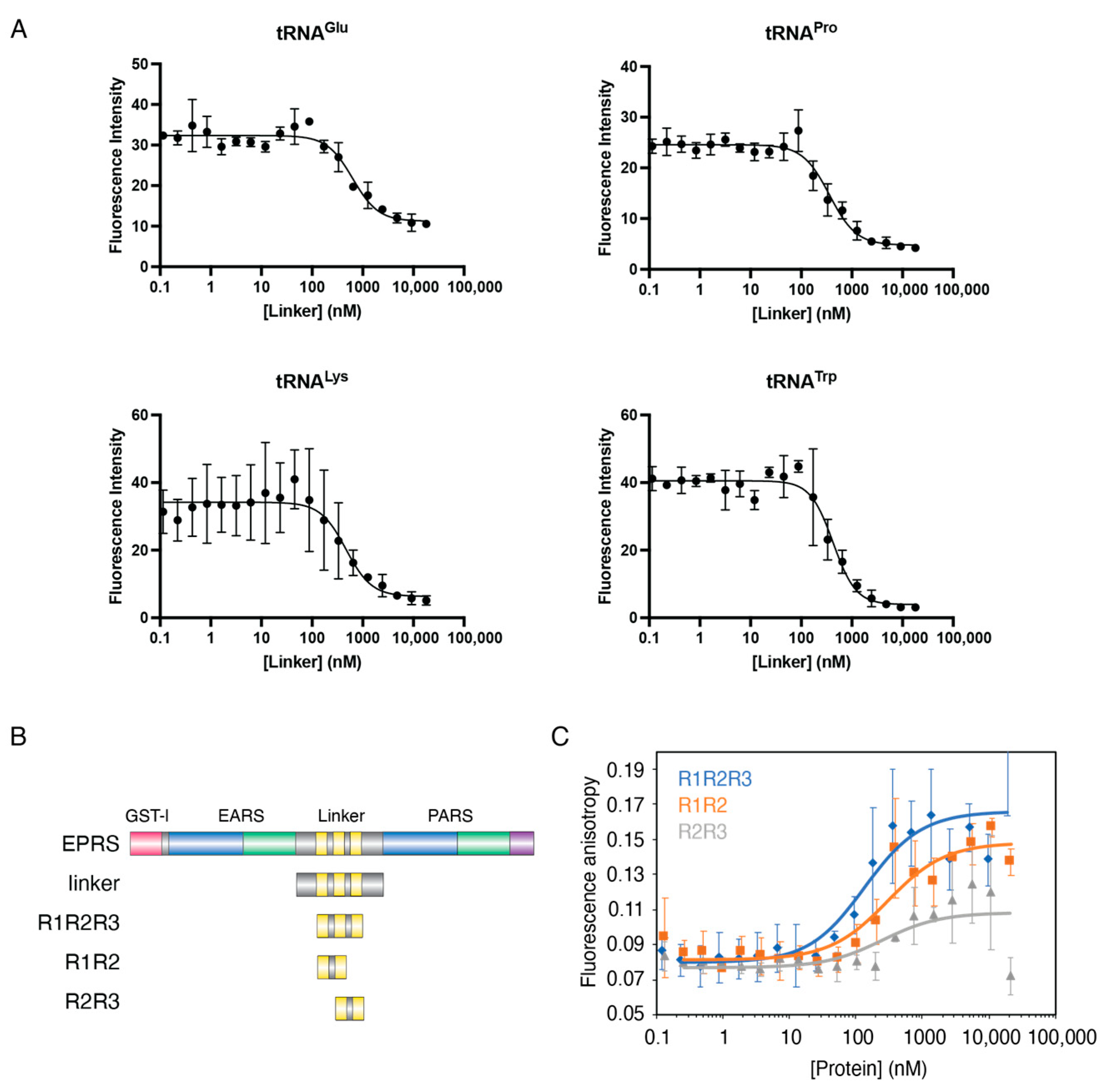 Viruses 15 00474 g004 Viruses 15 00474 g004