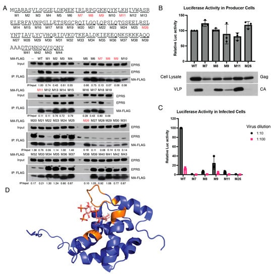 Viruses 15 00474 g005