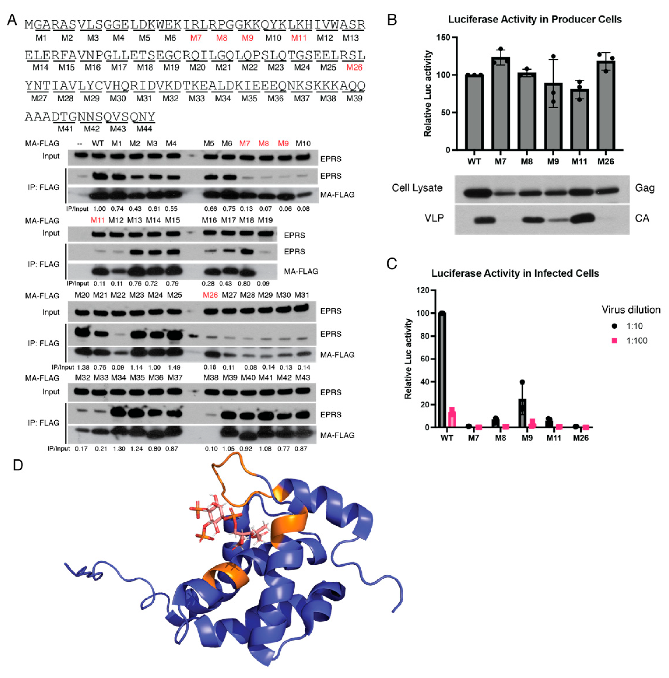 Viruses 15 00474 g005 Viruses 15 00474 g005