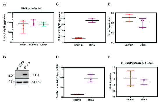 Viruses 15 00474 g007
