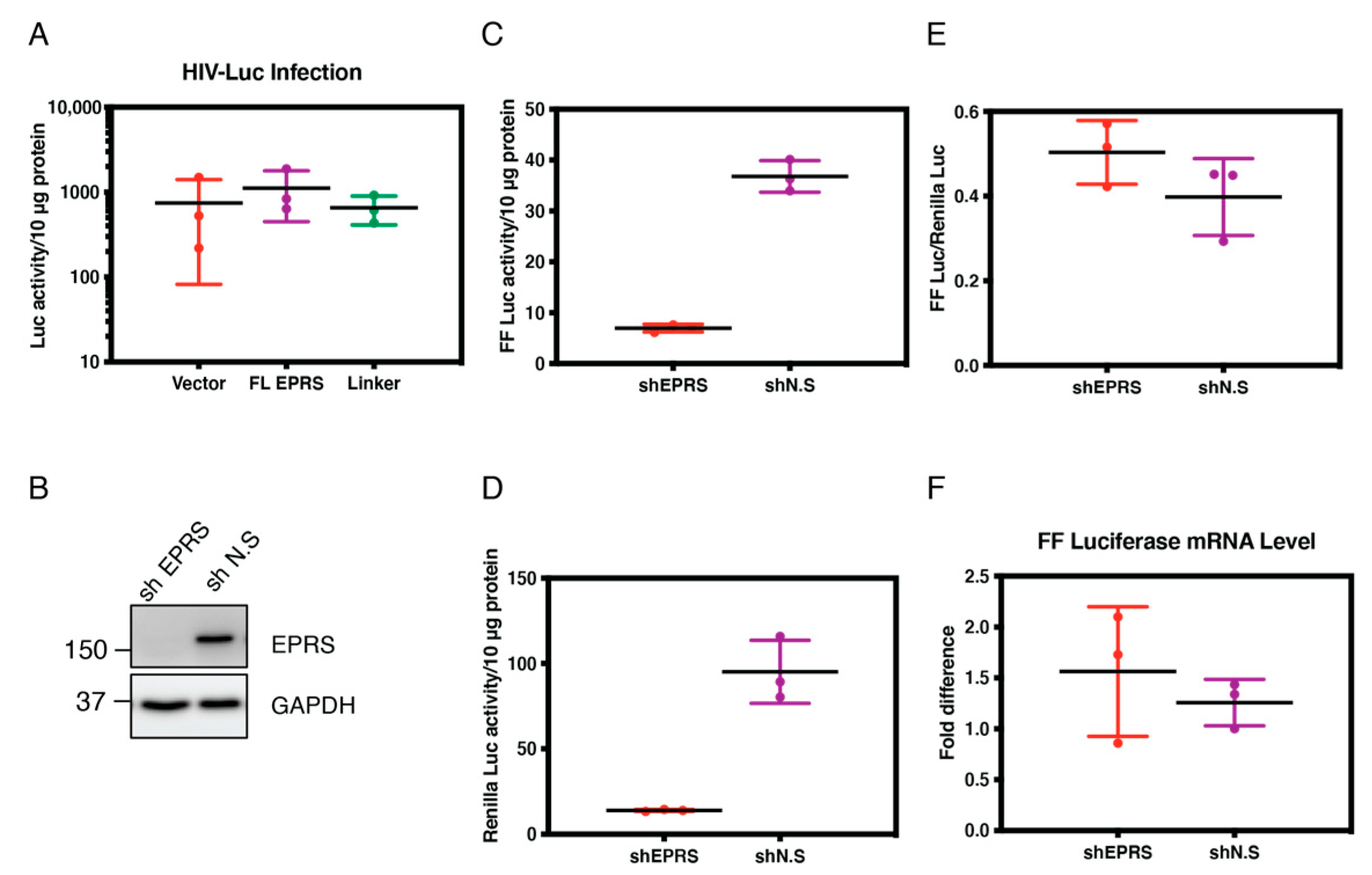 Viruses 15 00474 g007 Viruses 15 00474 g007