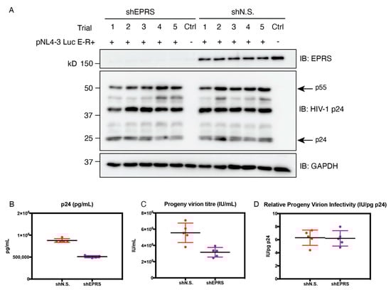 Viruses 15 00474 g008