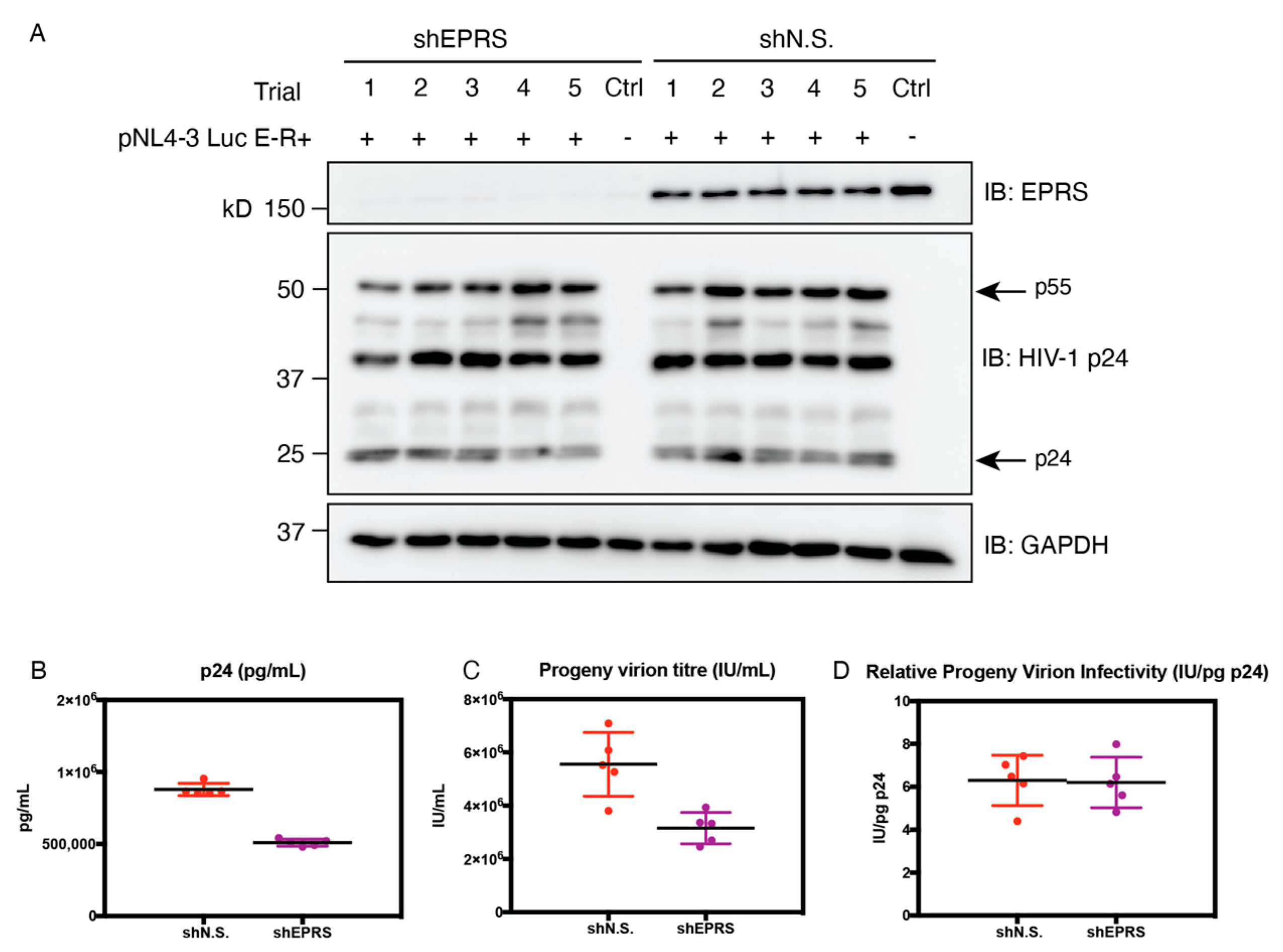Viruses 15 00474 g008 Viruses 15 00474 g008