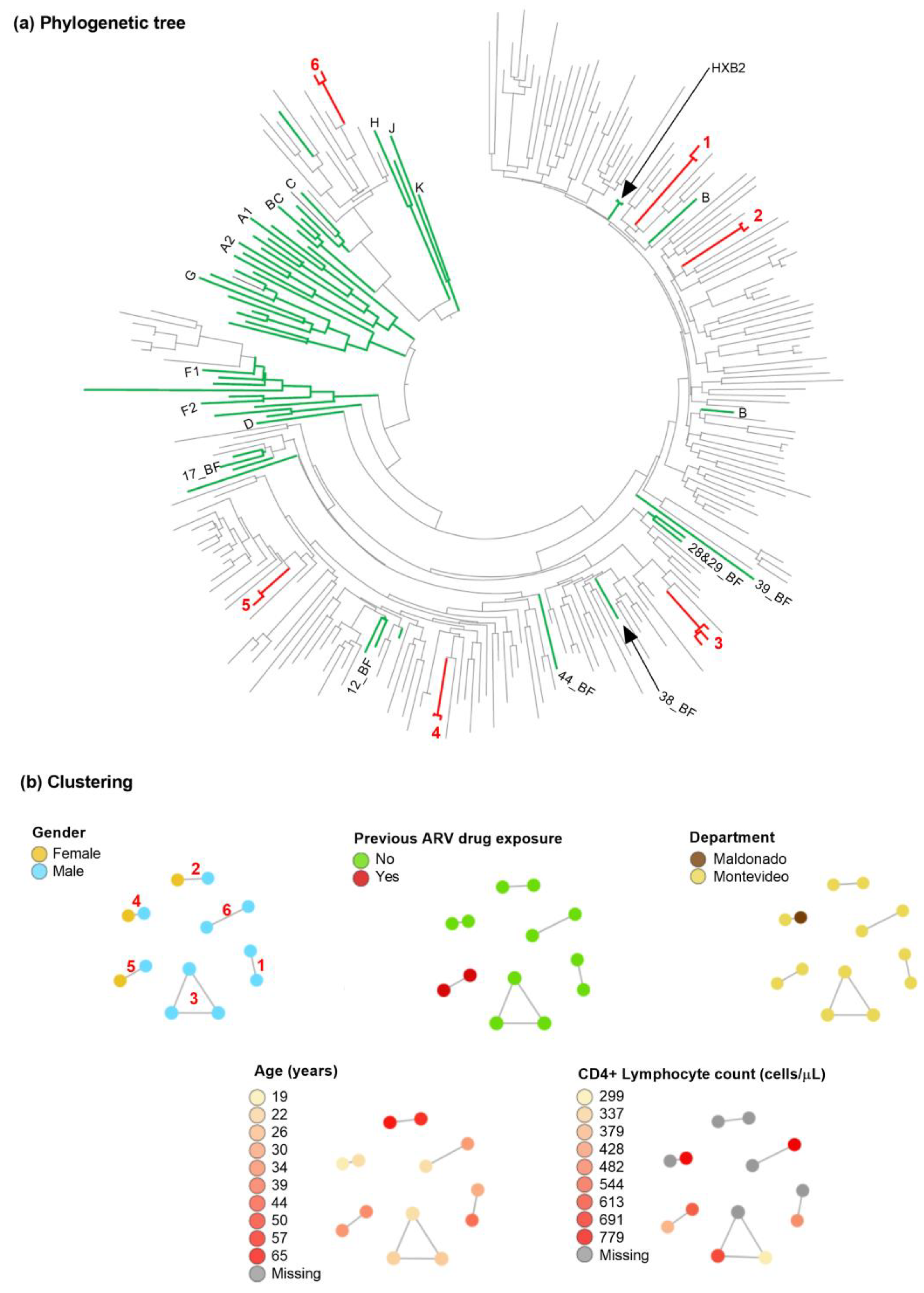 Viruses 15 00490 g001