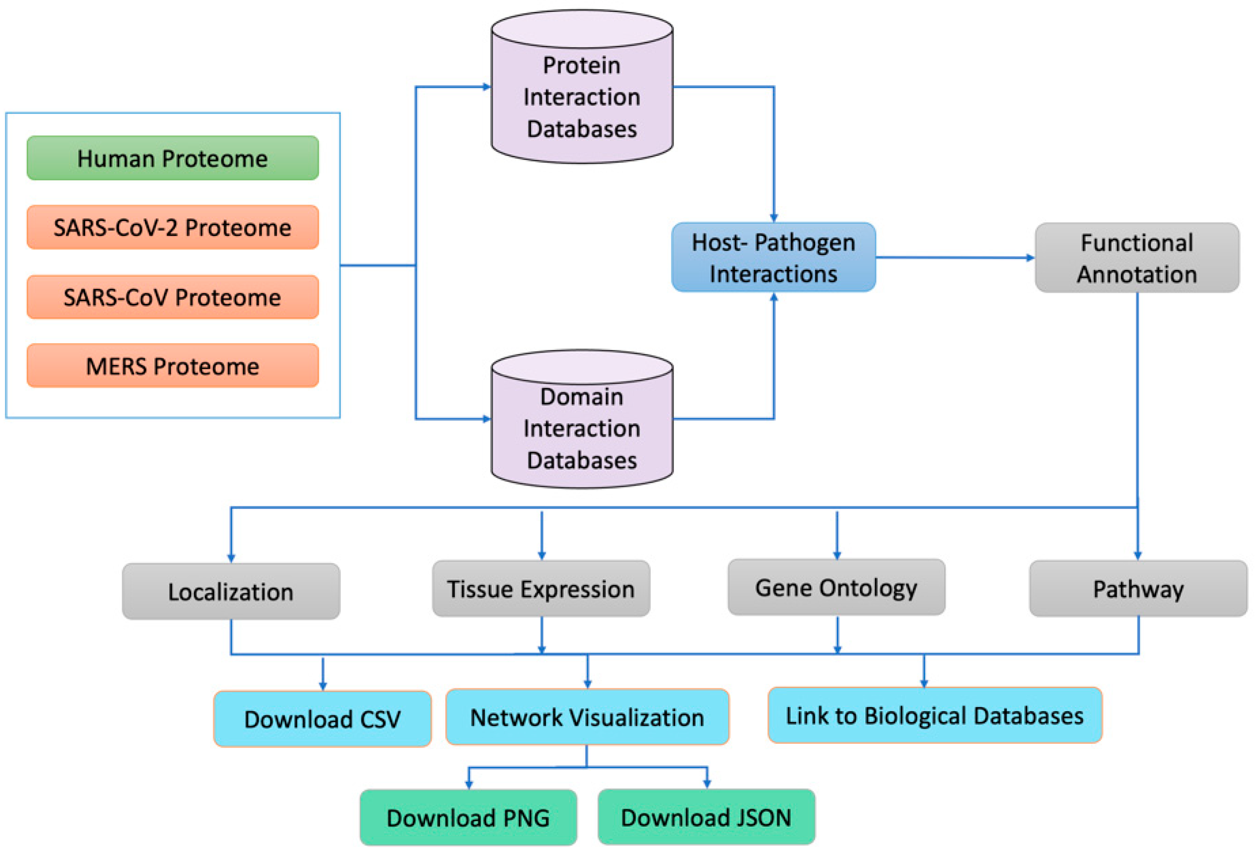 Viruses 15 00492 g001