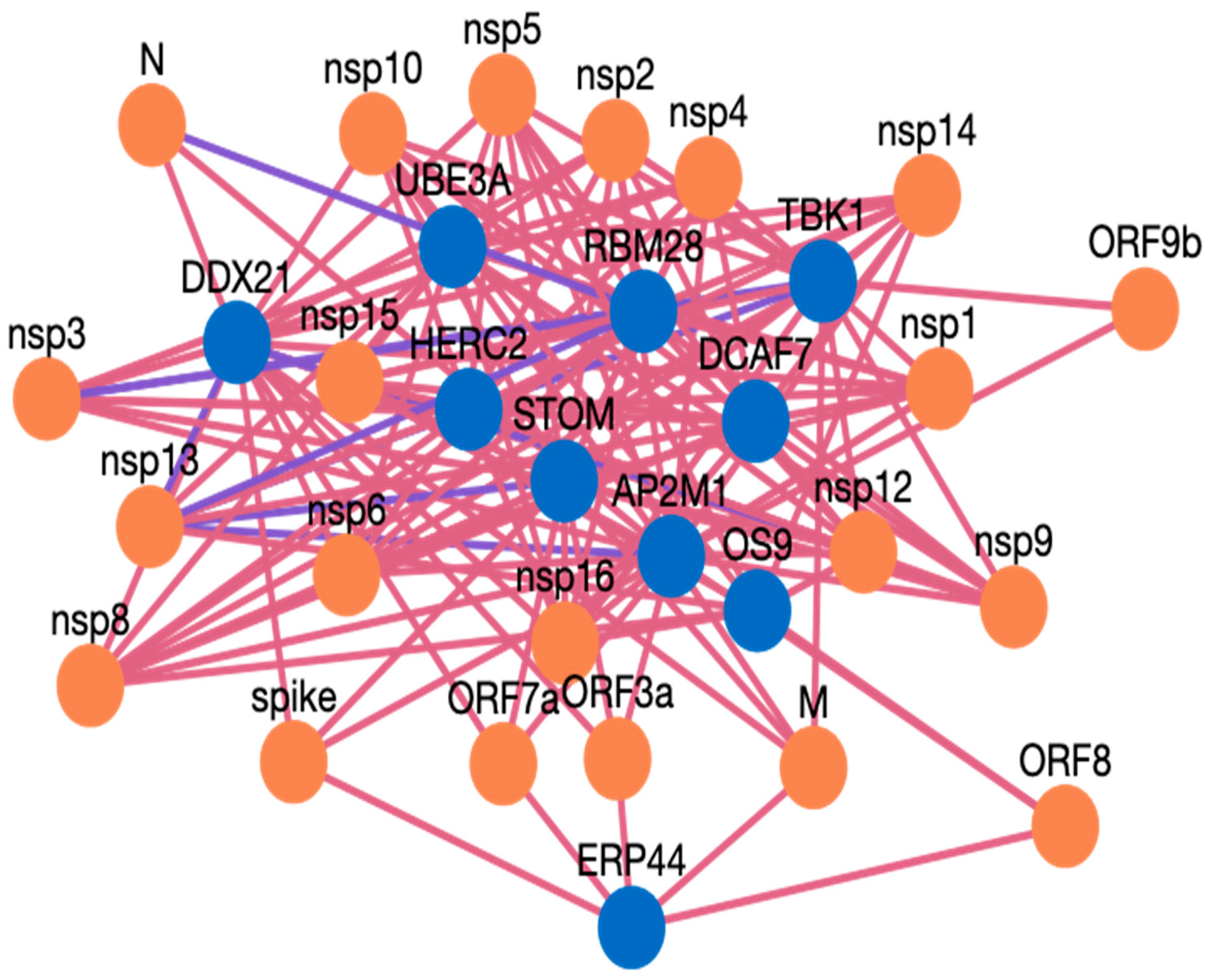 Viruses 15 00492 g004