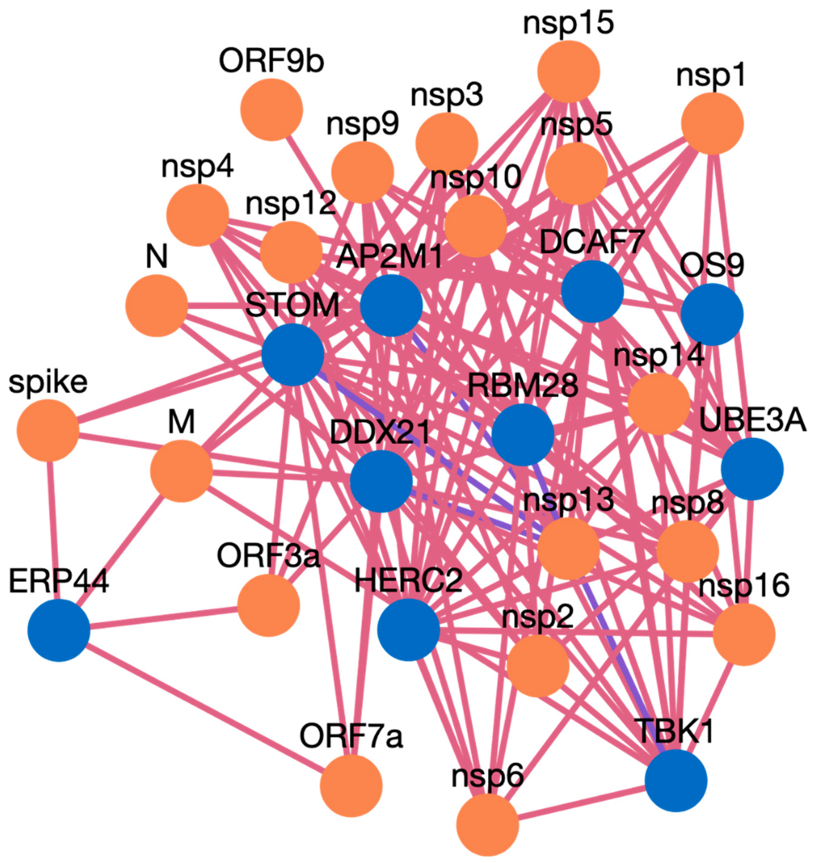 Viruses 15 00492 g006