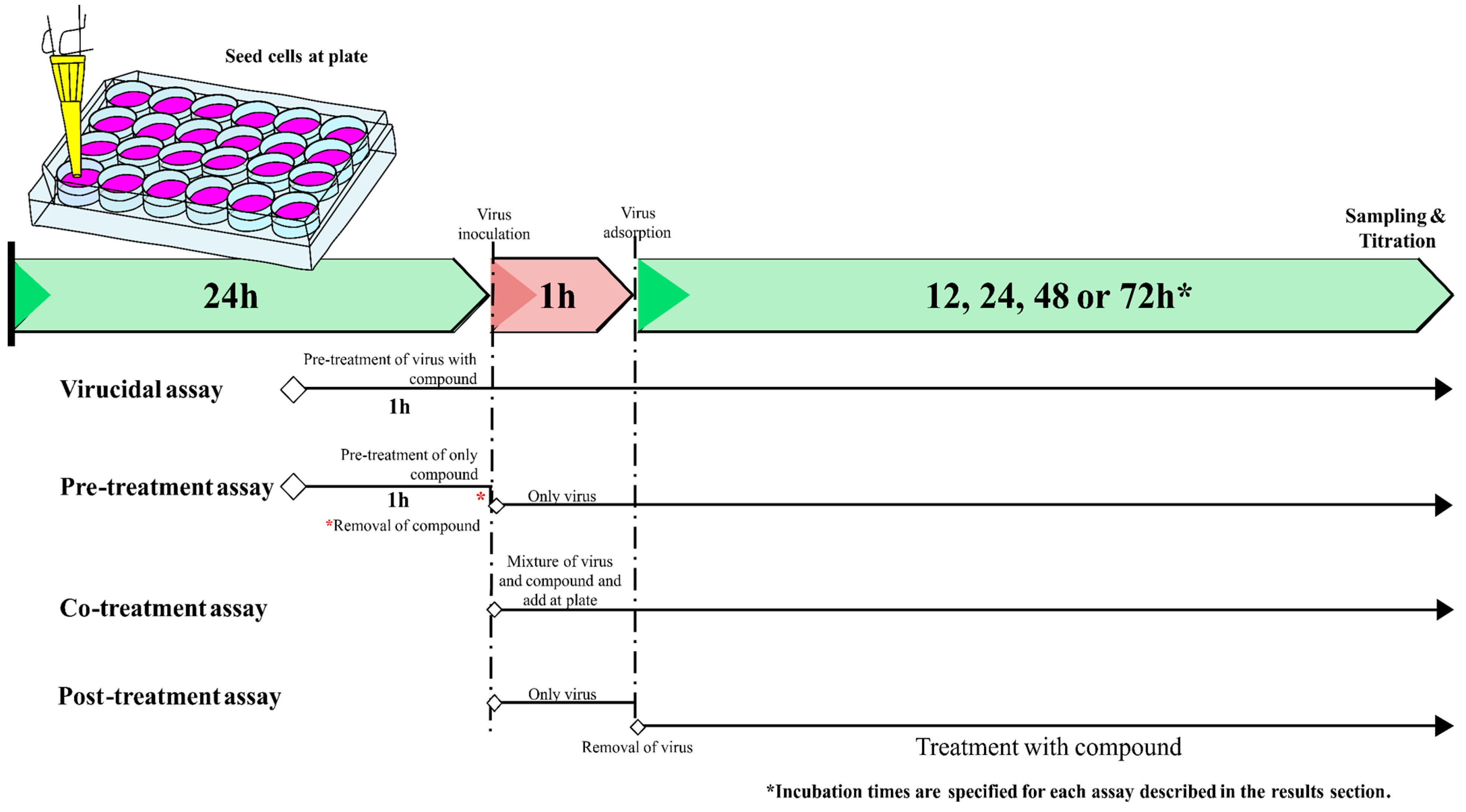 Viruses 15 00494 g001