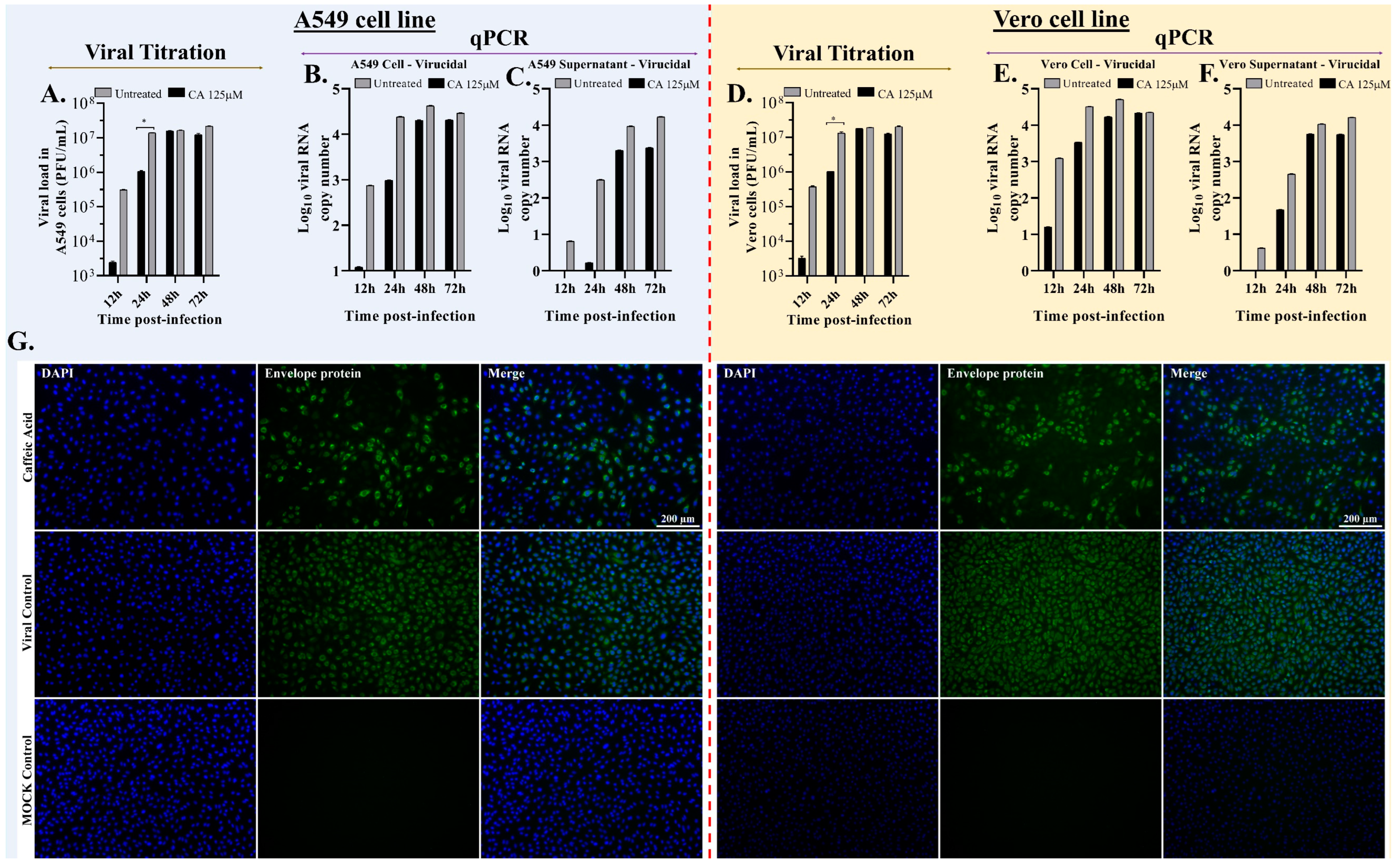 Viruses 15 00494 g004