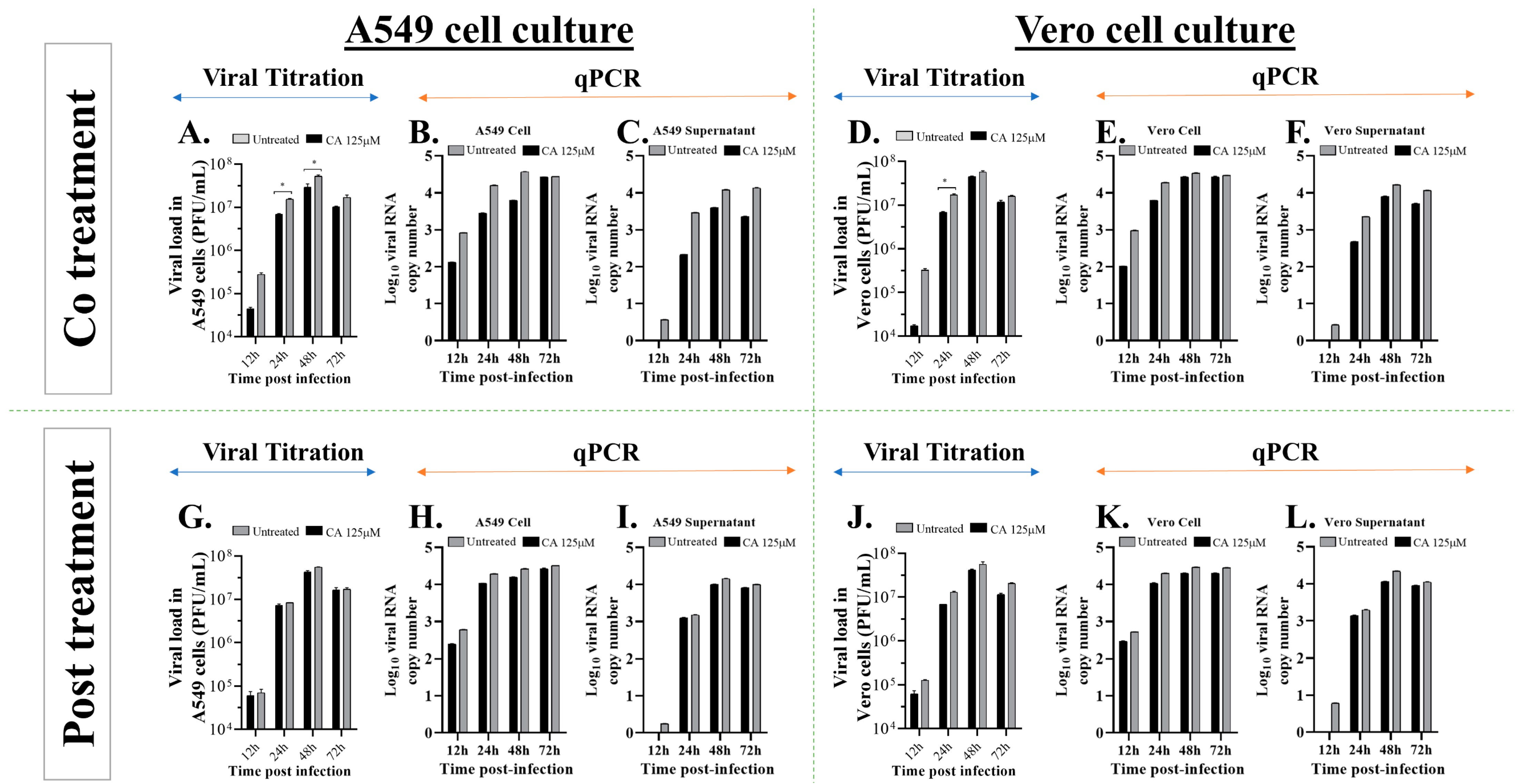 Viruses 15 00494 g005