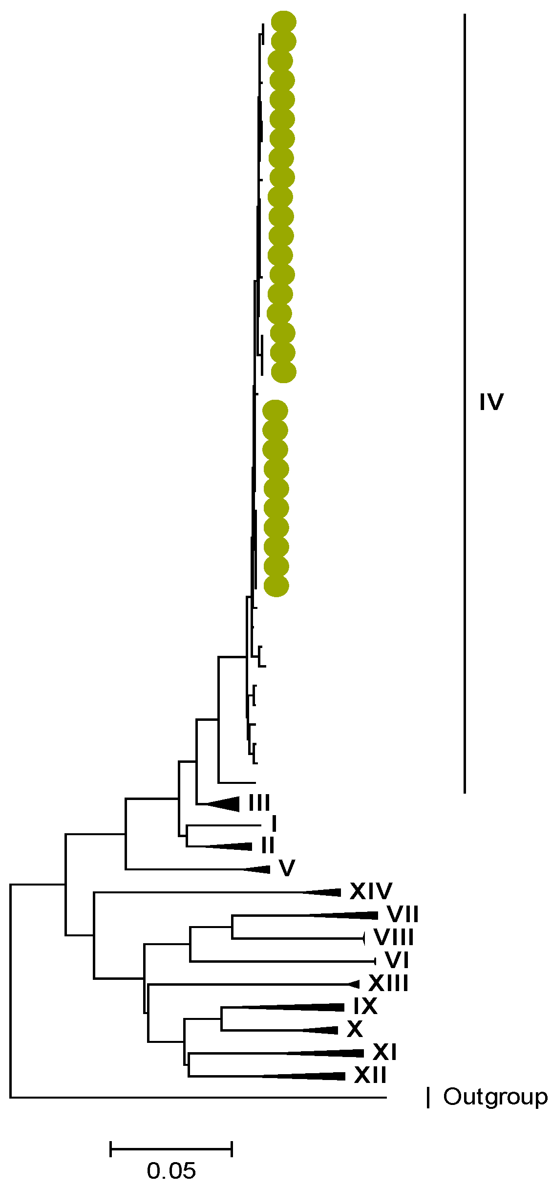 Viruses 15 00501 g004 Viruses 15 00501 g004