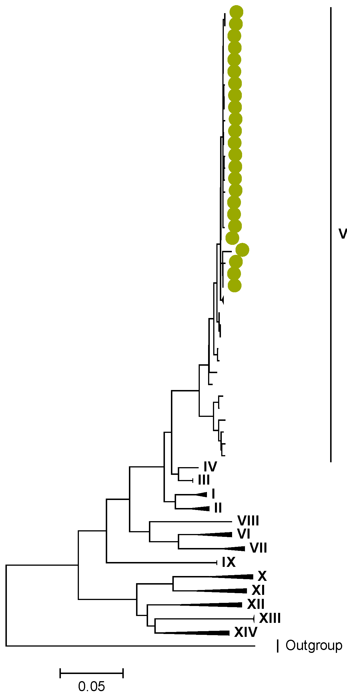 Viruses 15 00501 g006 Viruses 15 00501 g006