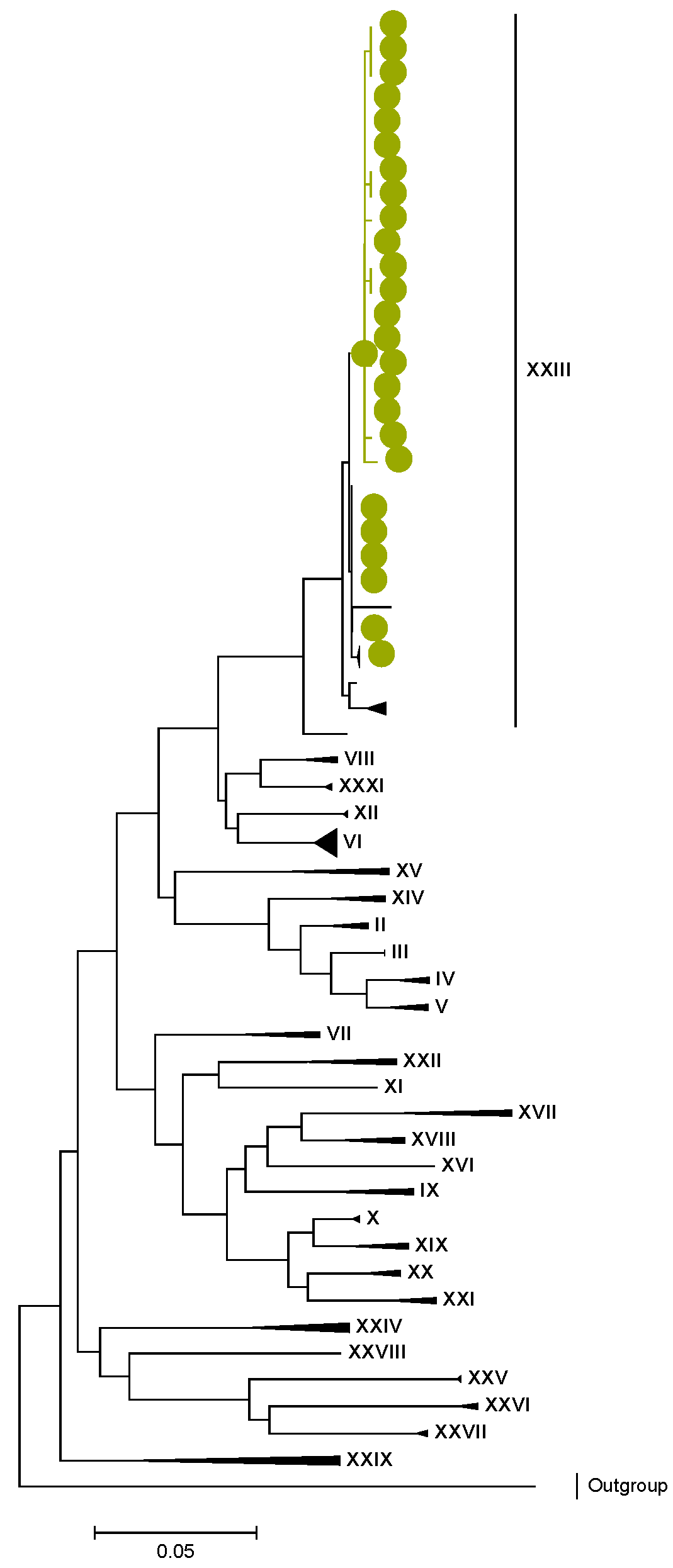 Viruses 15 00501 g010 Viruses 15 00501 g010
