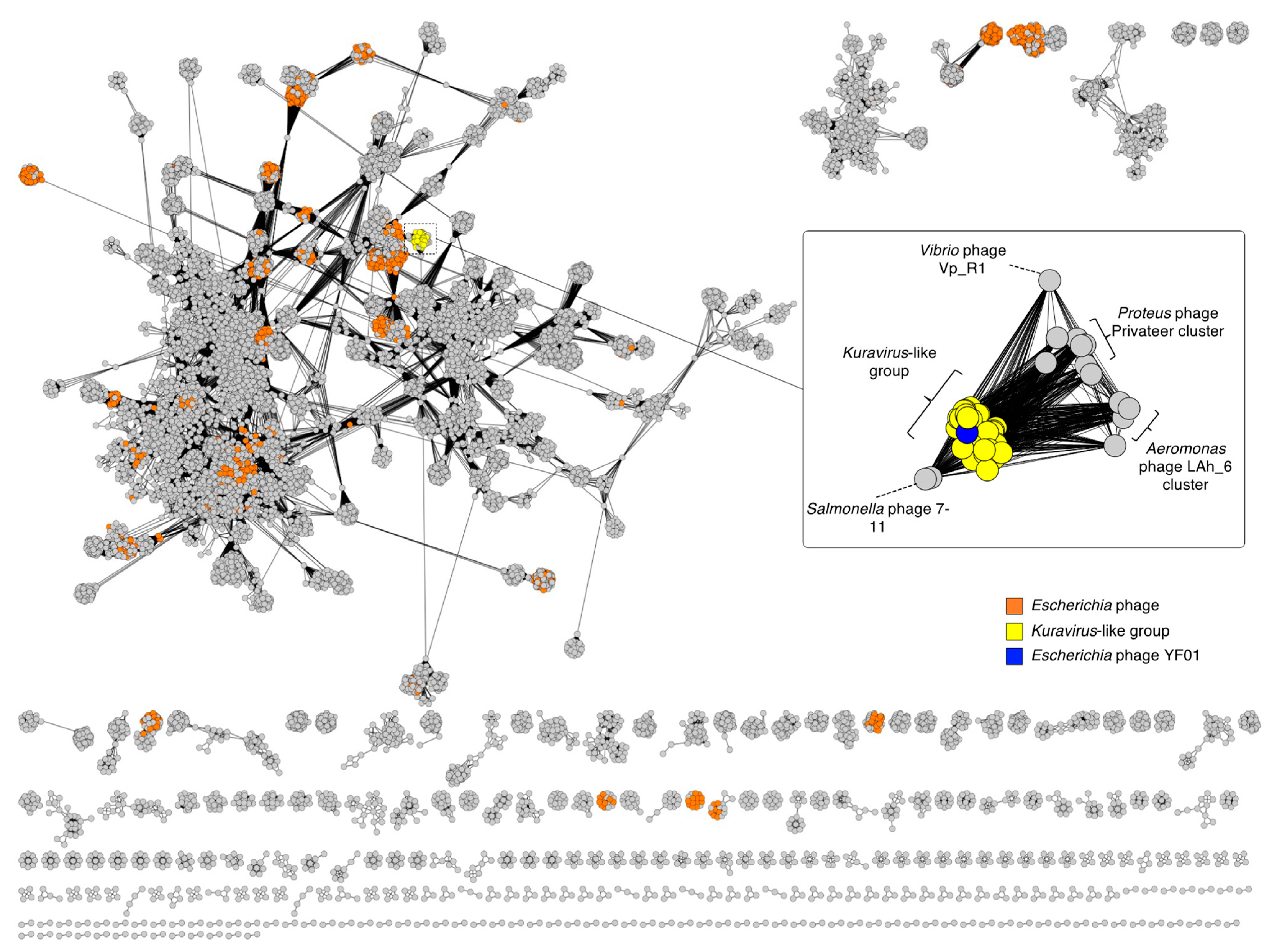 Viruses 15 00506 g002