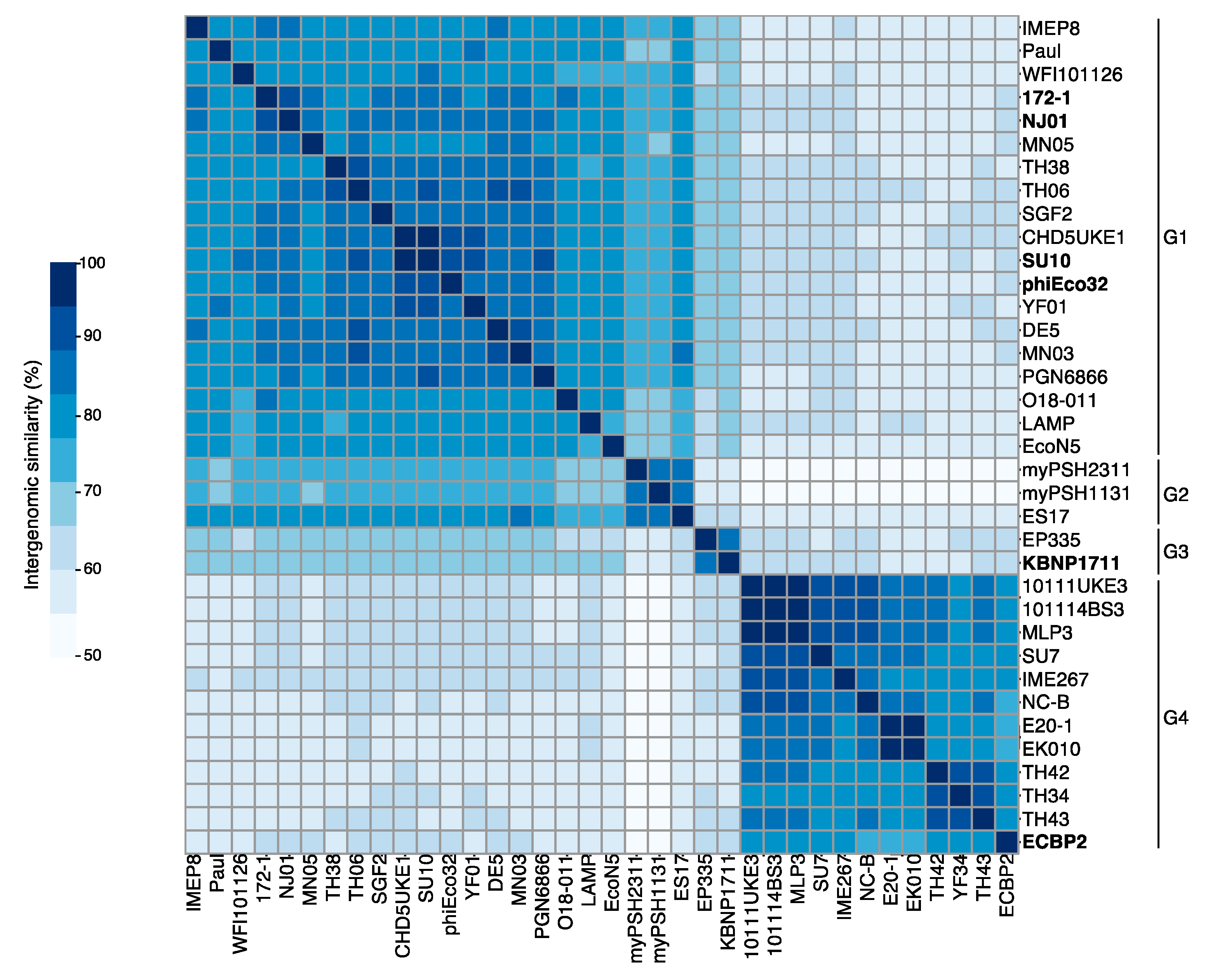 Viruses 15 00506 g003