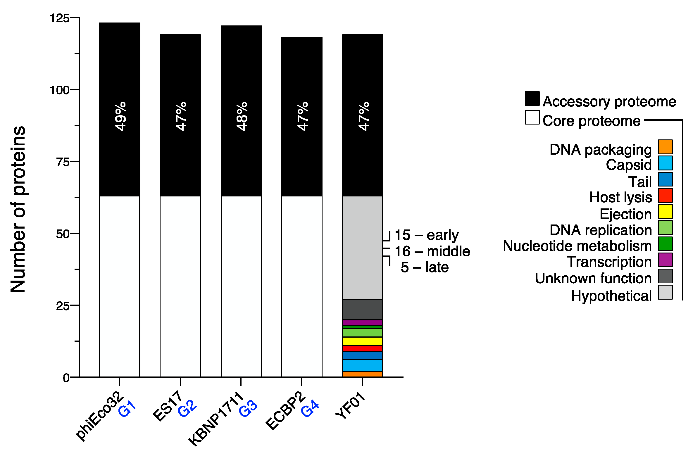 Viruses 15 00506 g008