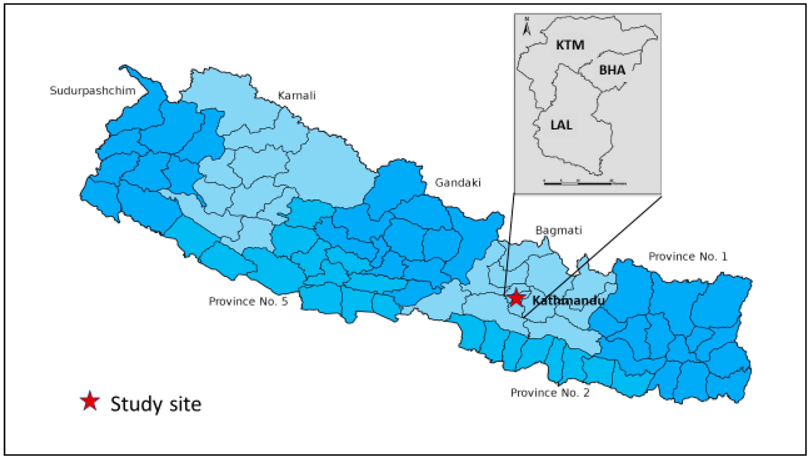 Viruses 15 00507 g001