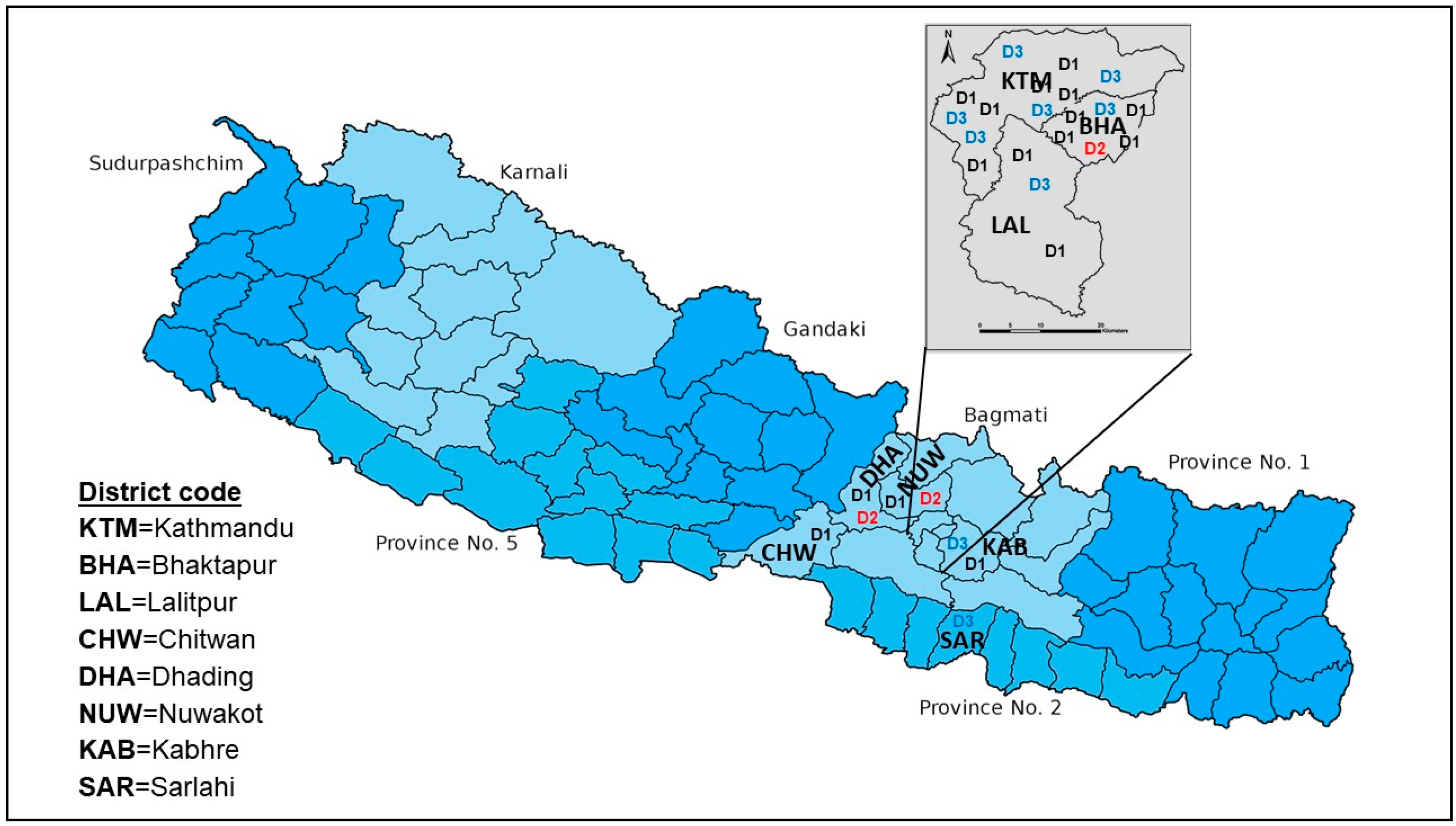 Viruses 15 00507 g004