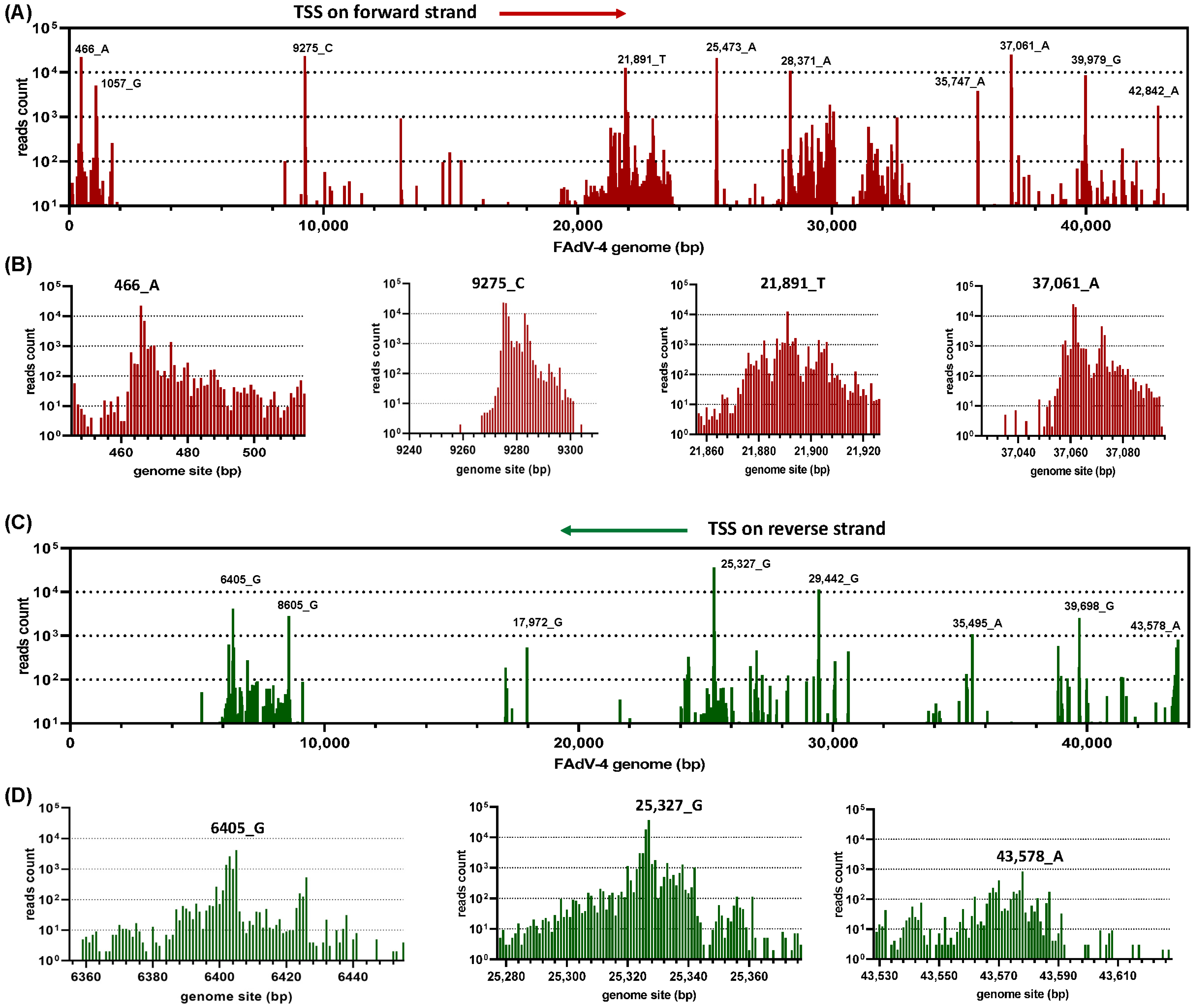 Viruses 15 00529 g001