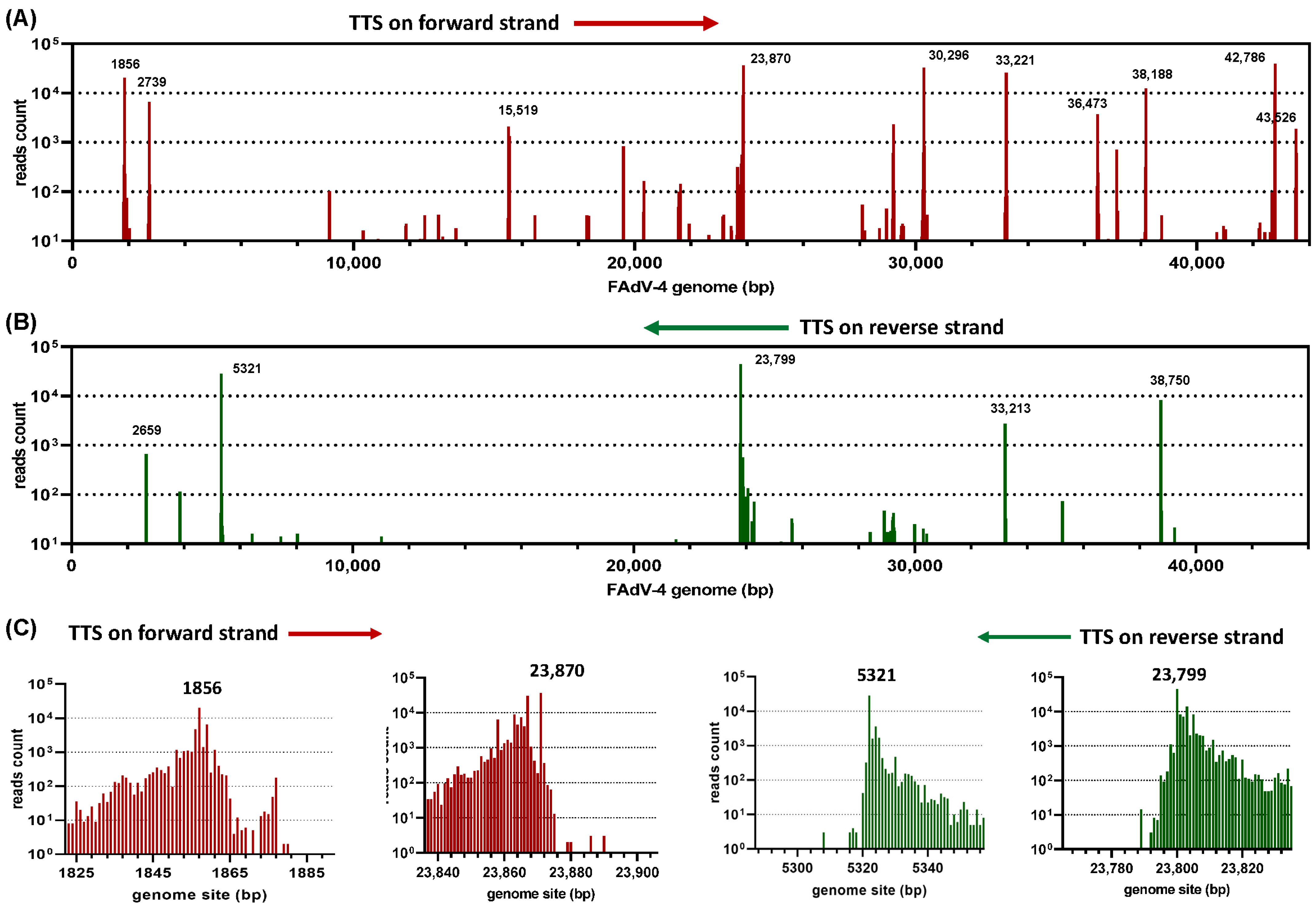 Viruses 15 00529 g002
