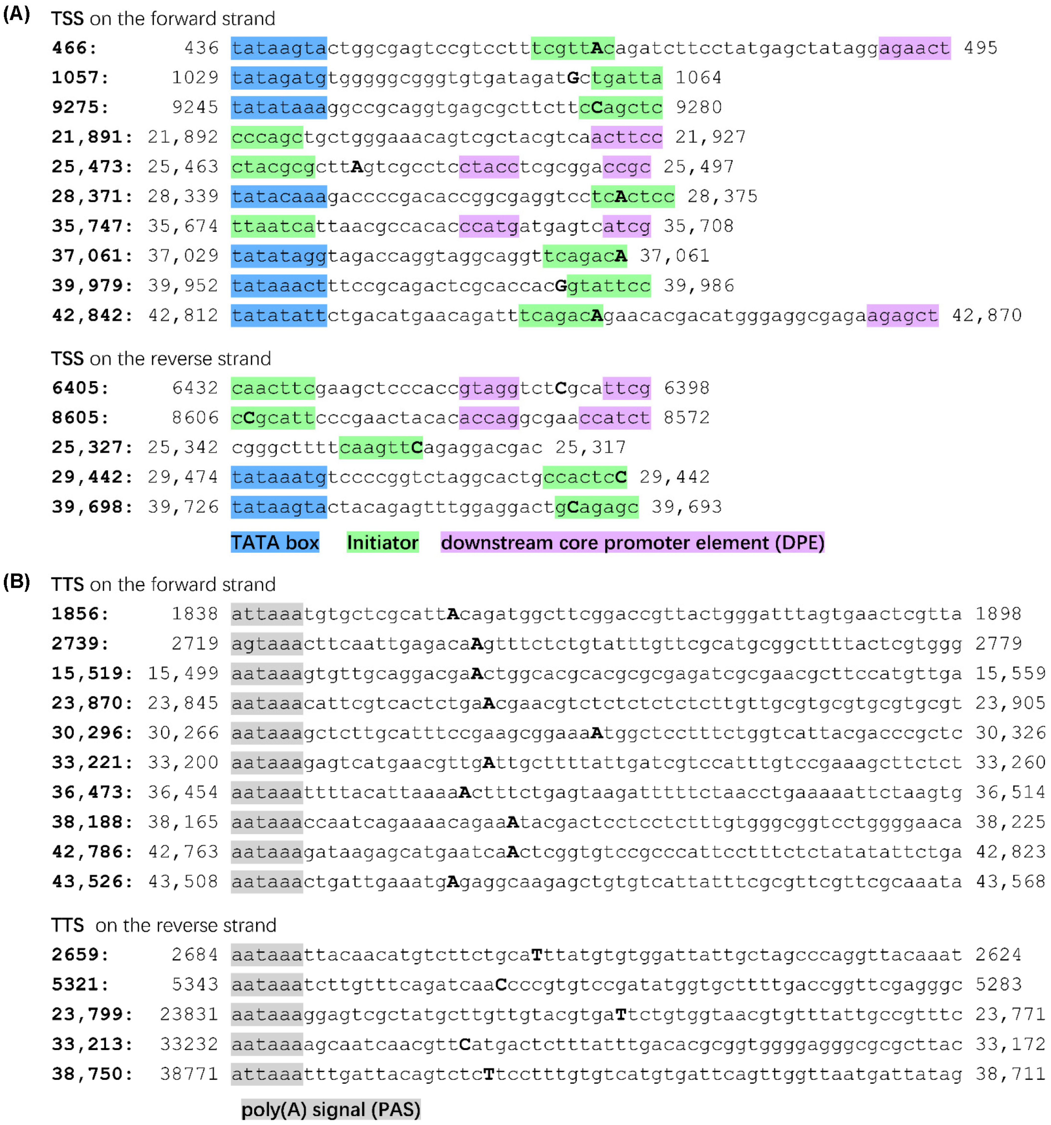 Viruses 15 00529 g003