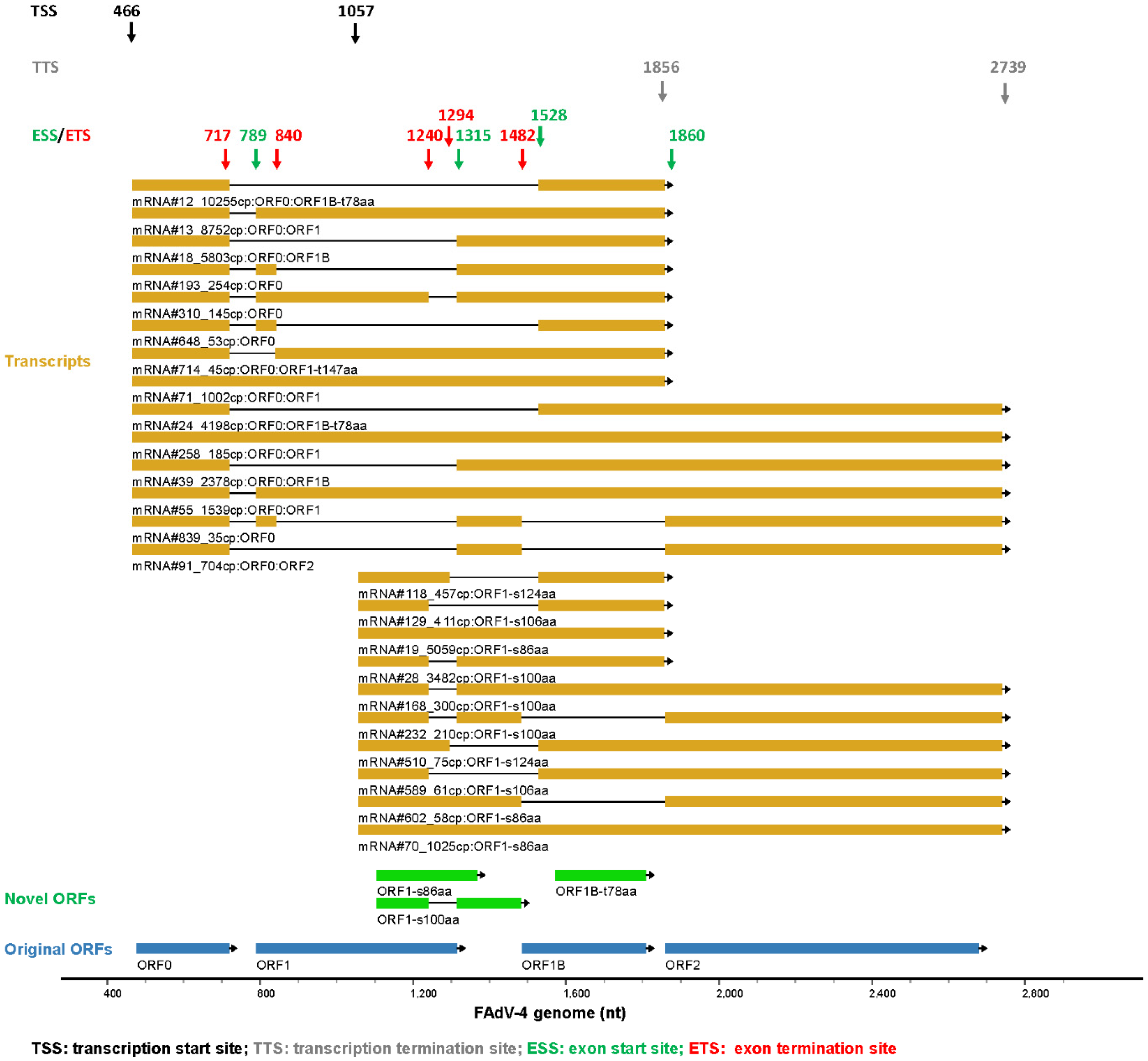 Viruses 15 00529 g004