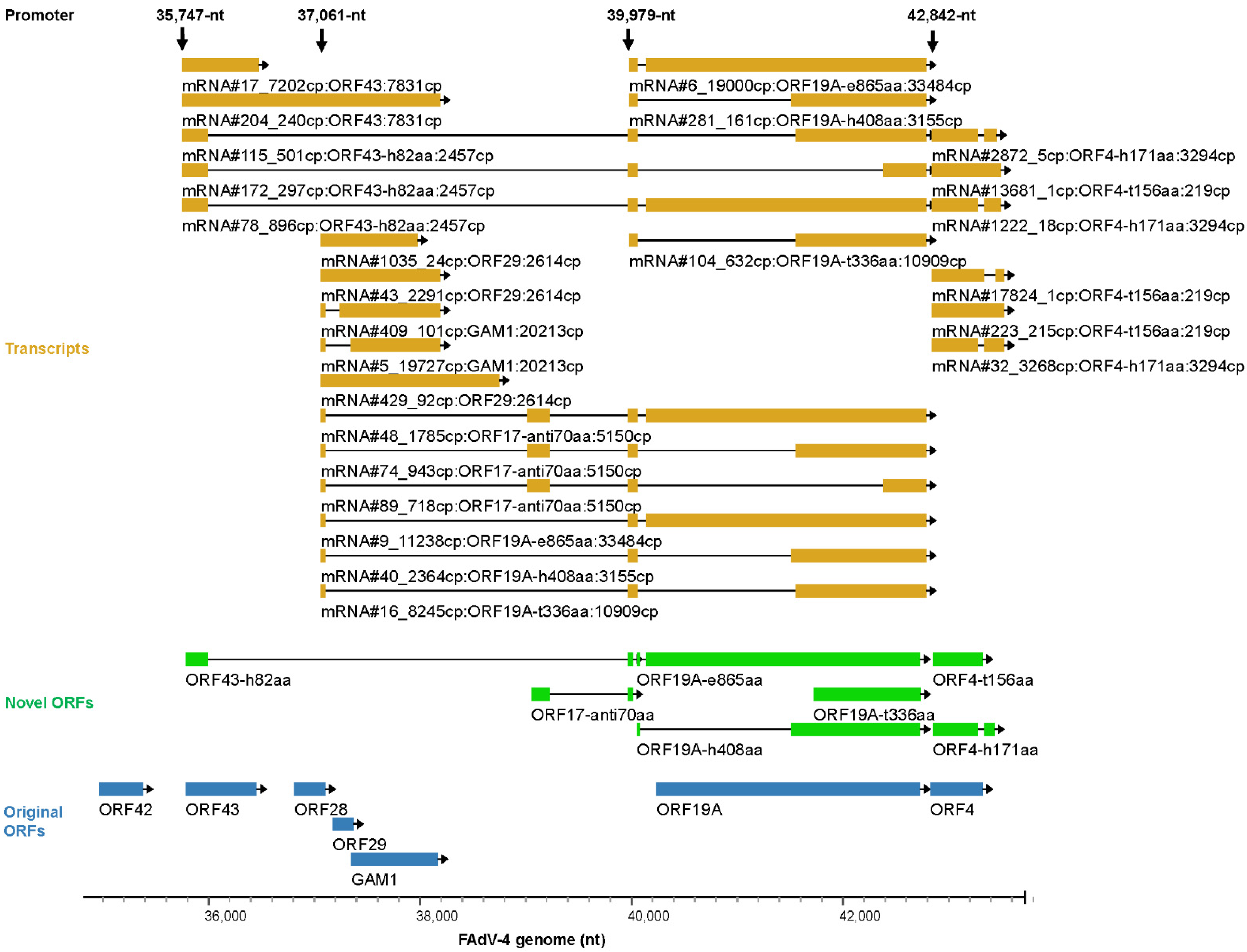 Viruses 15 00529 g007