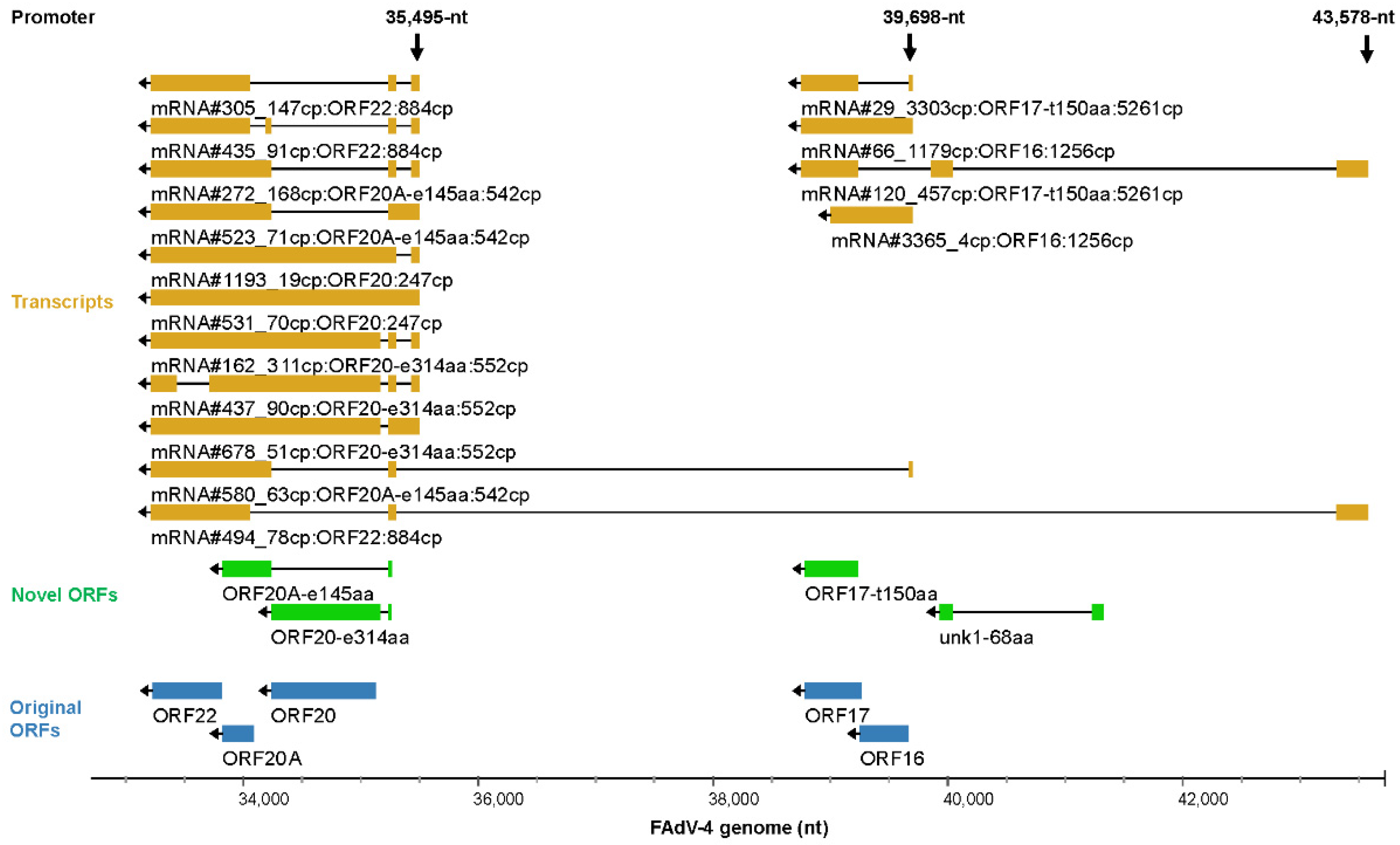 Viruses 15 00529 g009