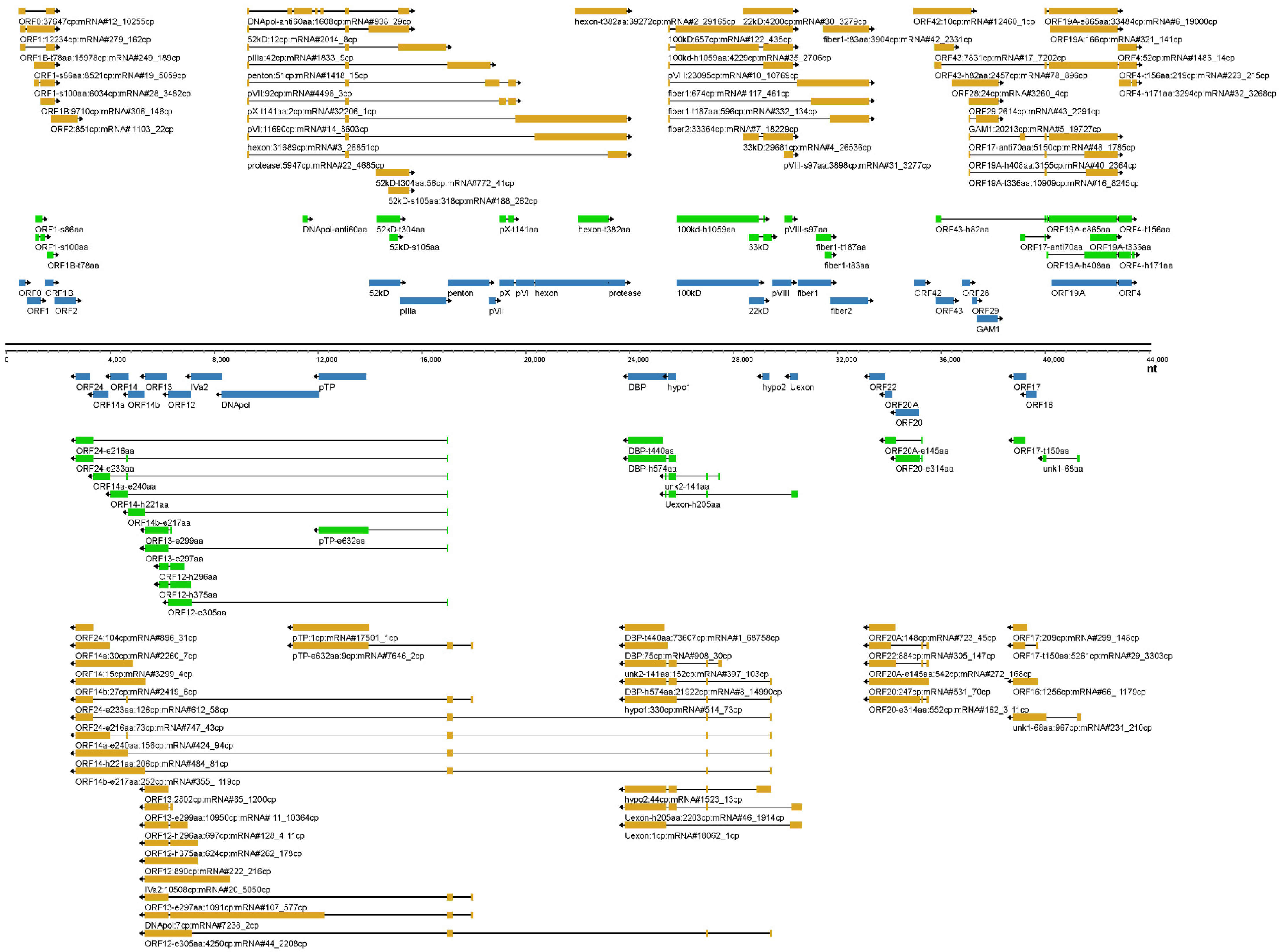 Viruses 15 00529 g010