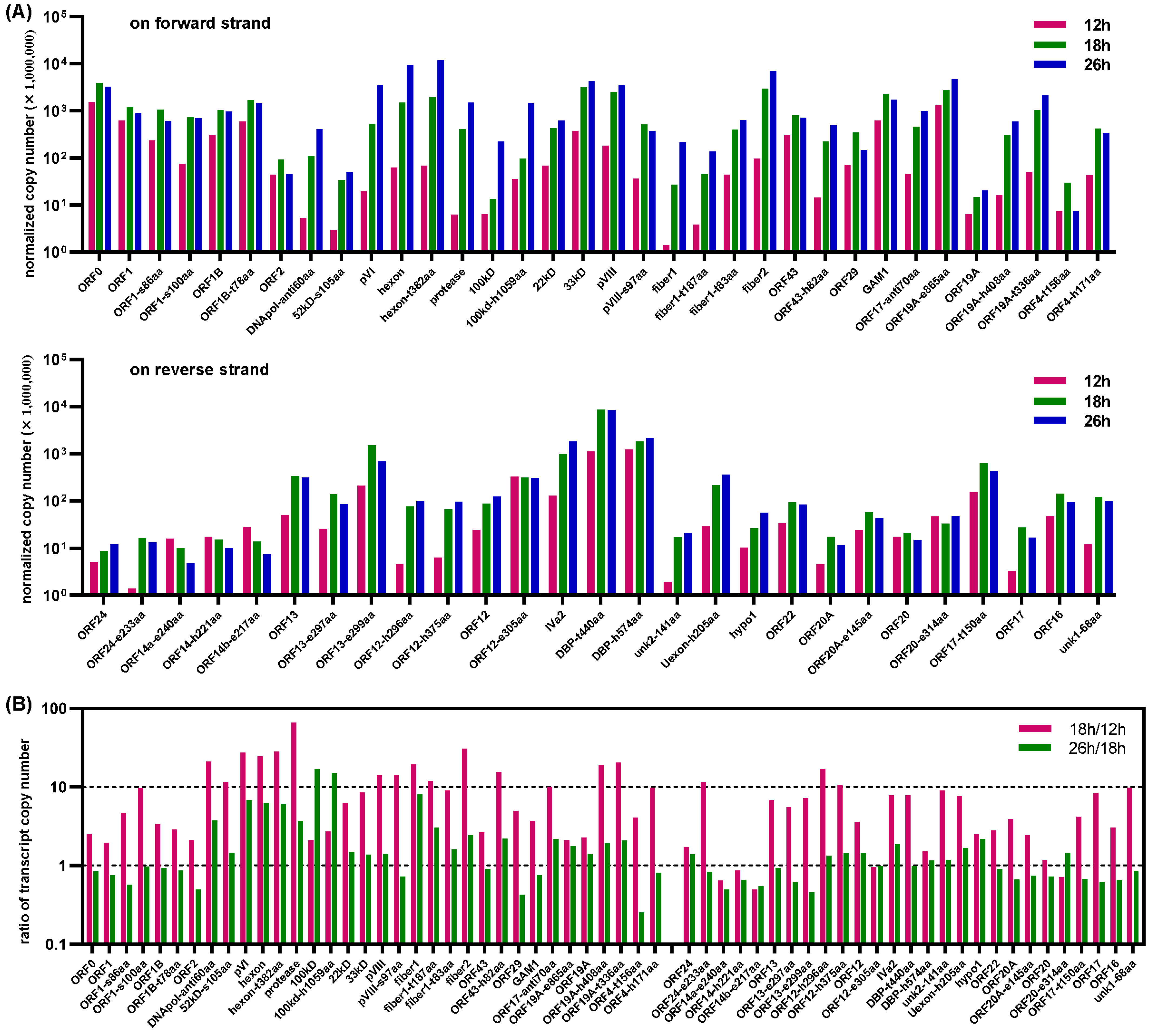 Viruses 15 00529 g011