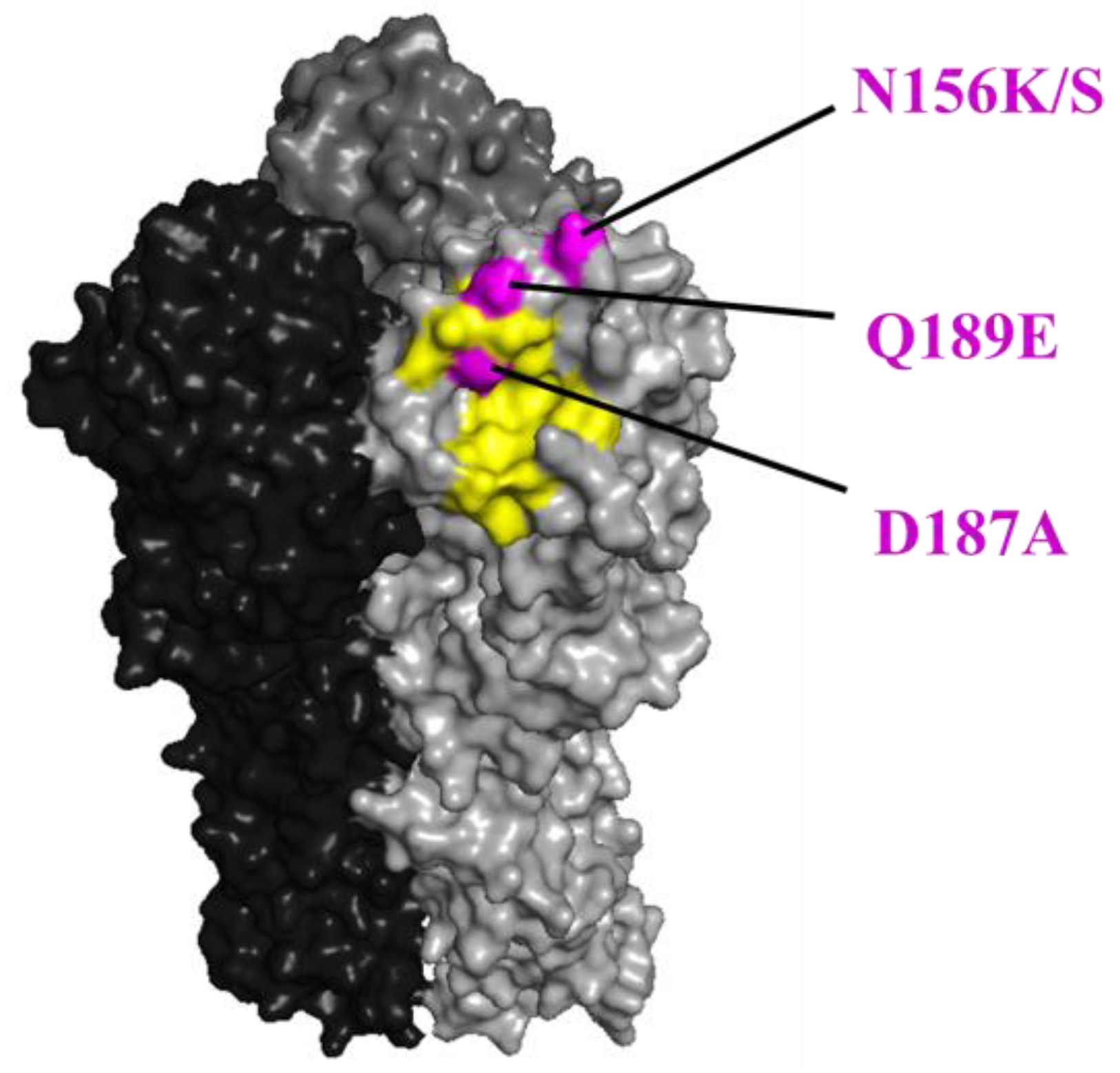 Viruses 15 00535 g002