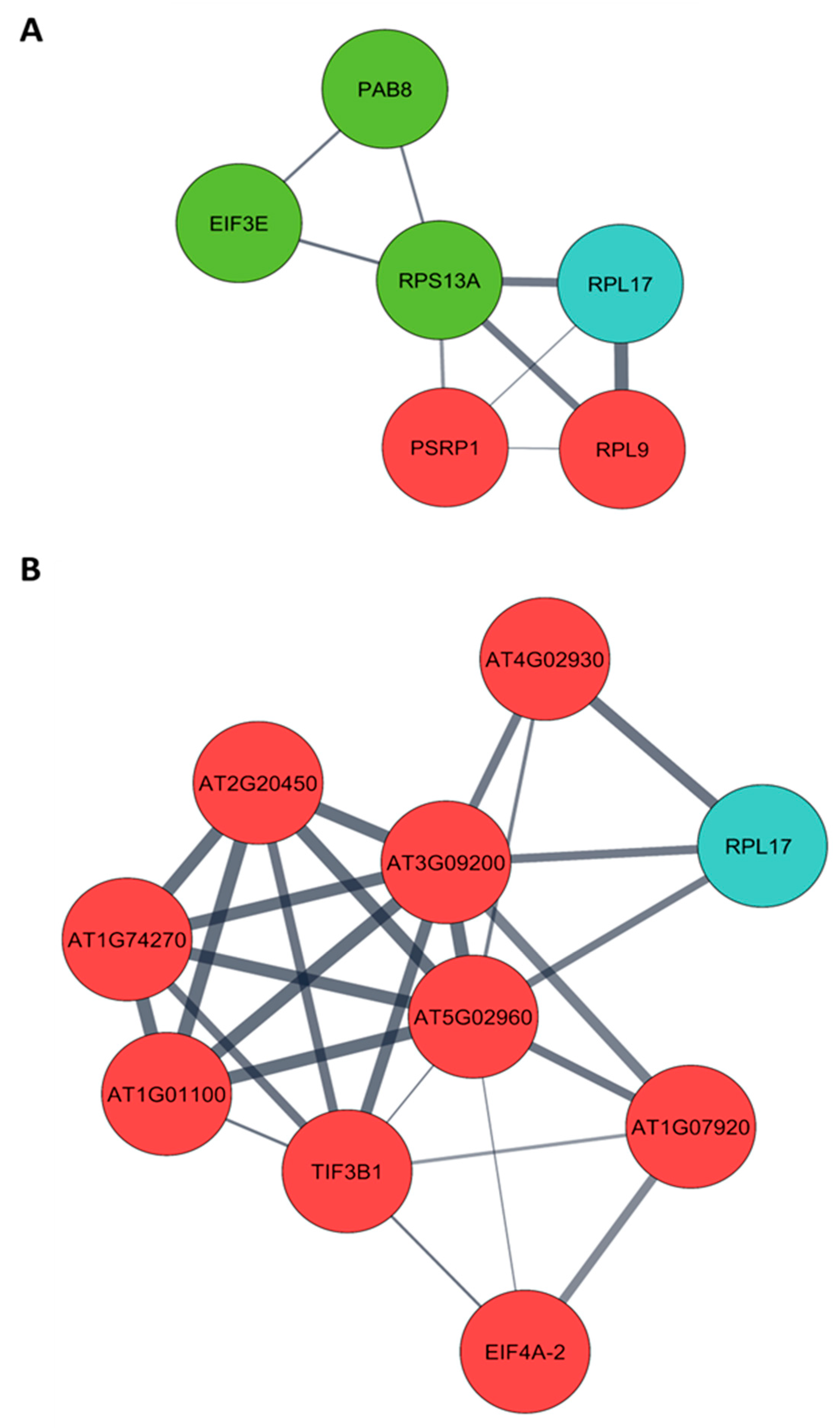 Viruses 15 00541 g003 Viruses 15 00541 g003