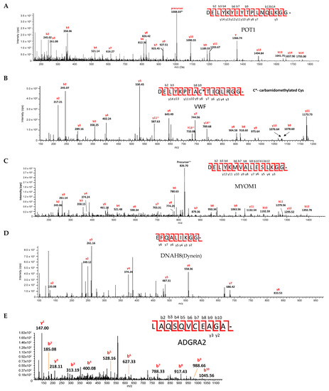 Viruses 15 00542 g006