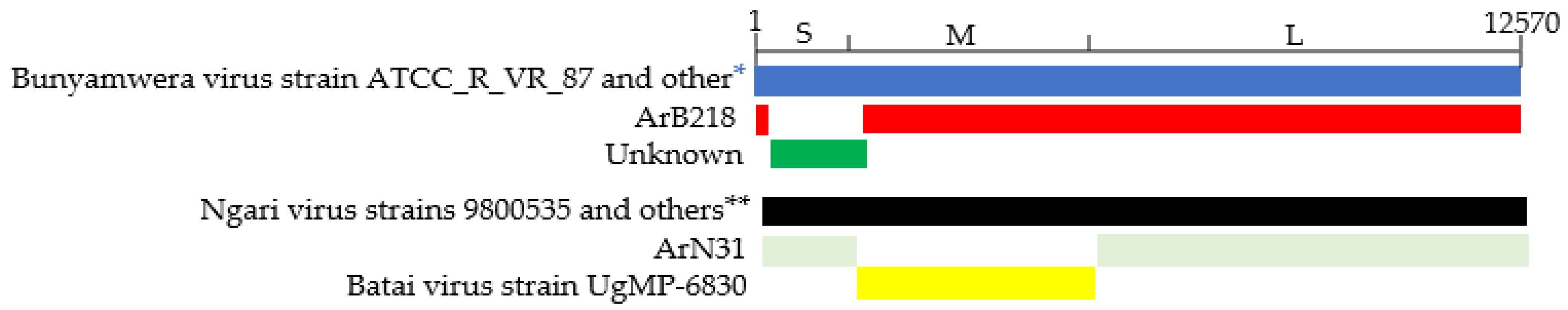 Viruses 15 00550 g001