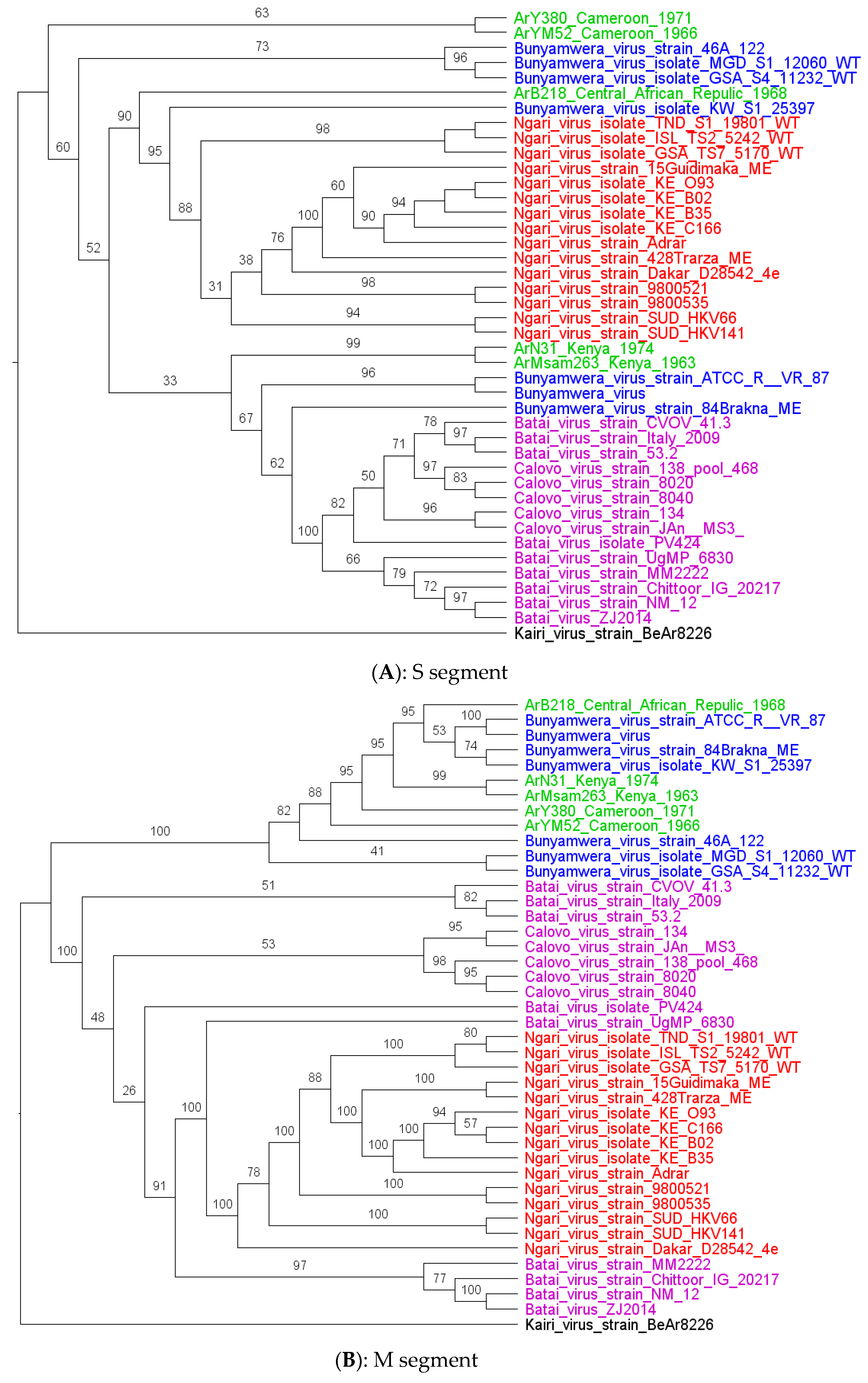 Viruses 15 00550 g002a