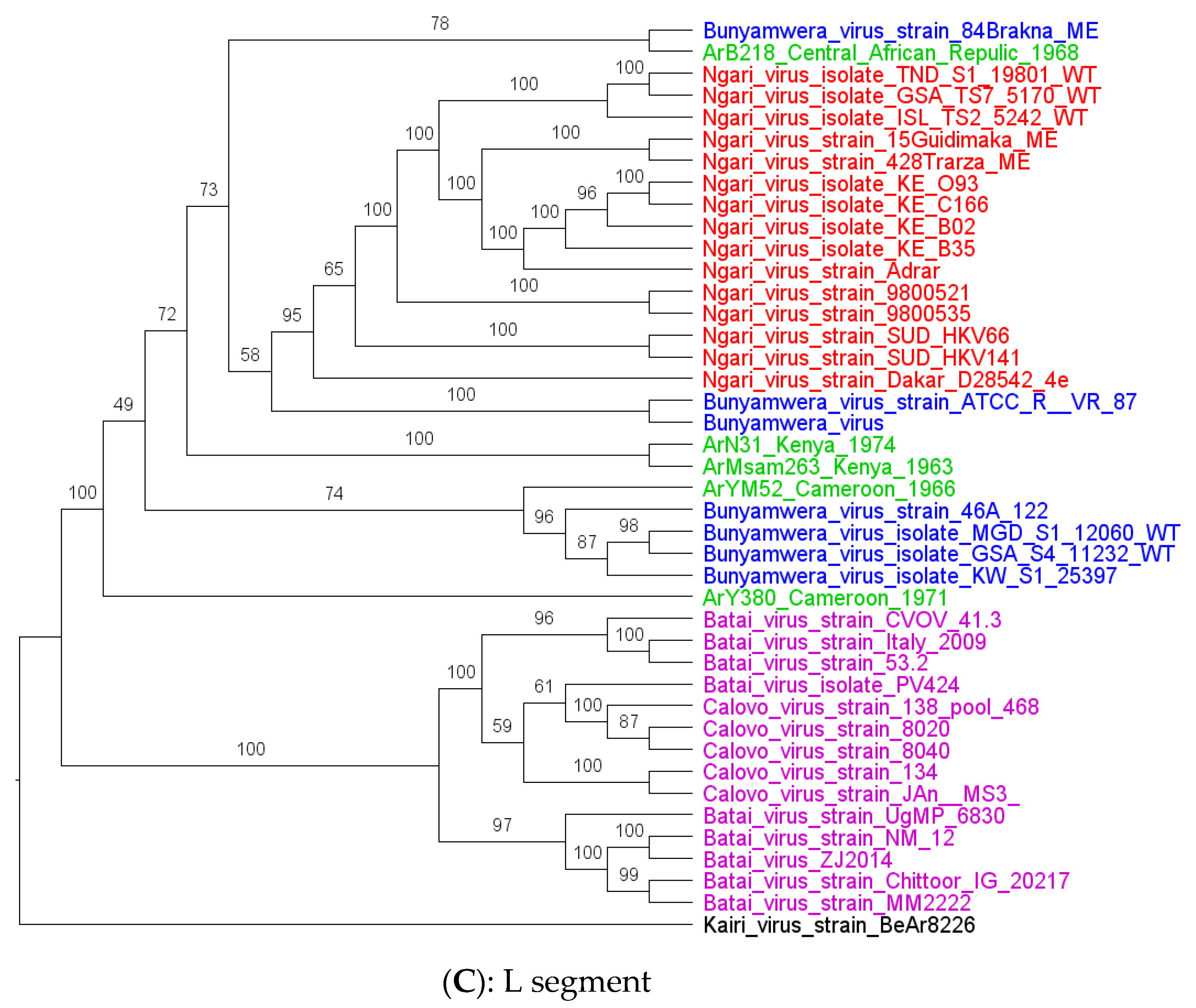 Viruses 15 00550 g002b