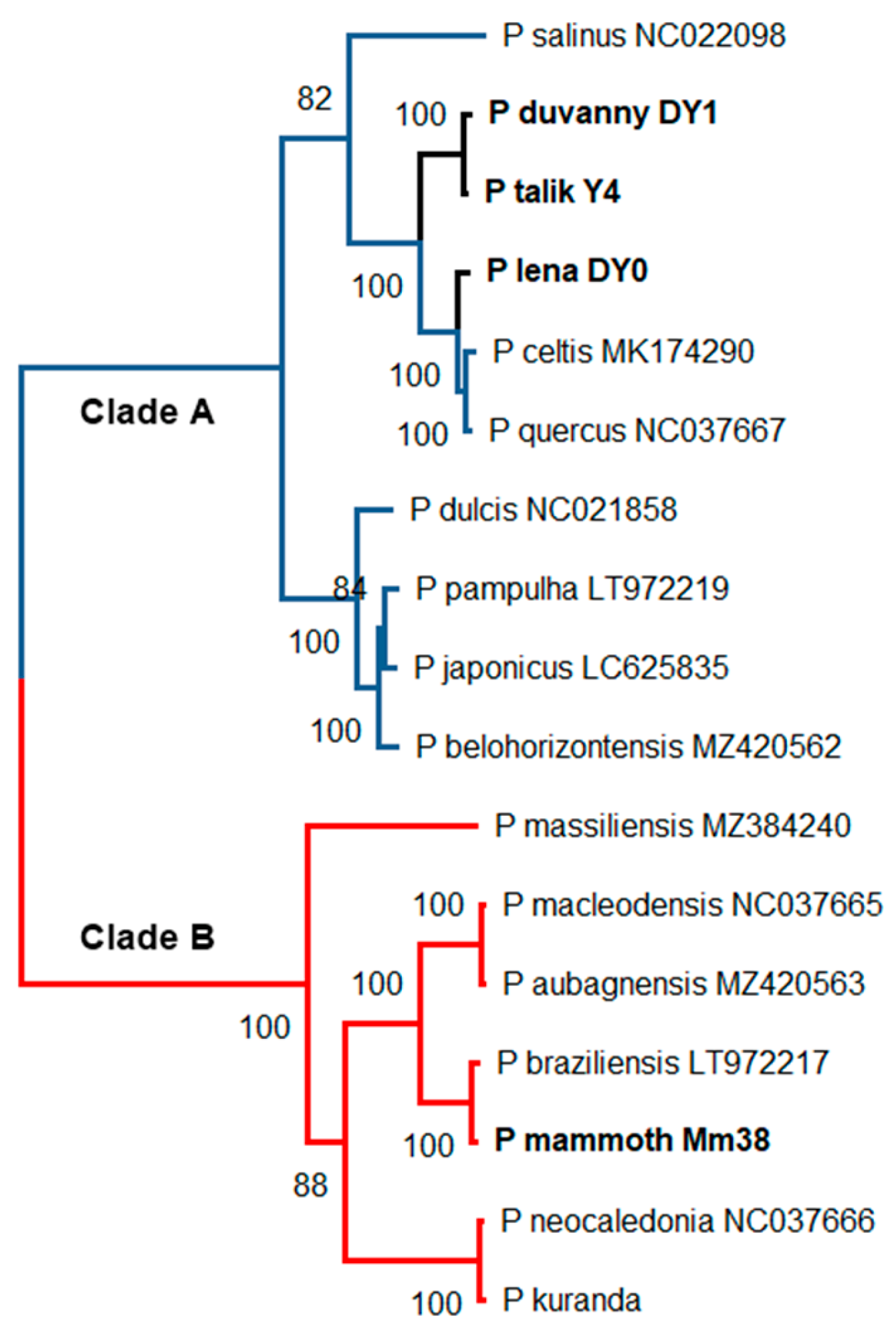 Viruses 15 00564 g002