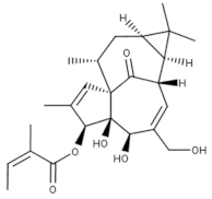 Viruses 15 00568 i001