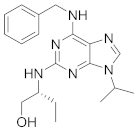 Viruses 15 00568 i016