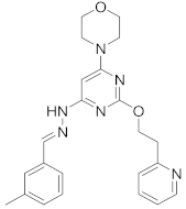Viruses 15 00568 i037