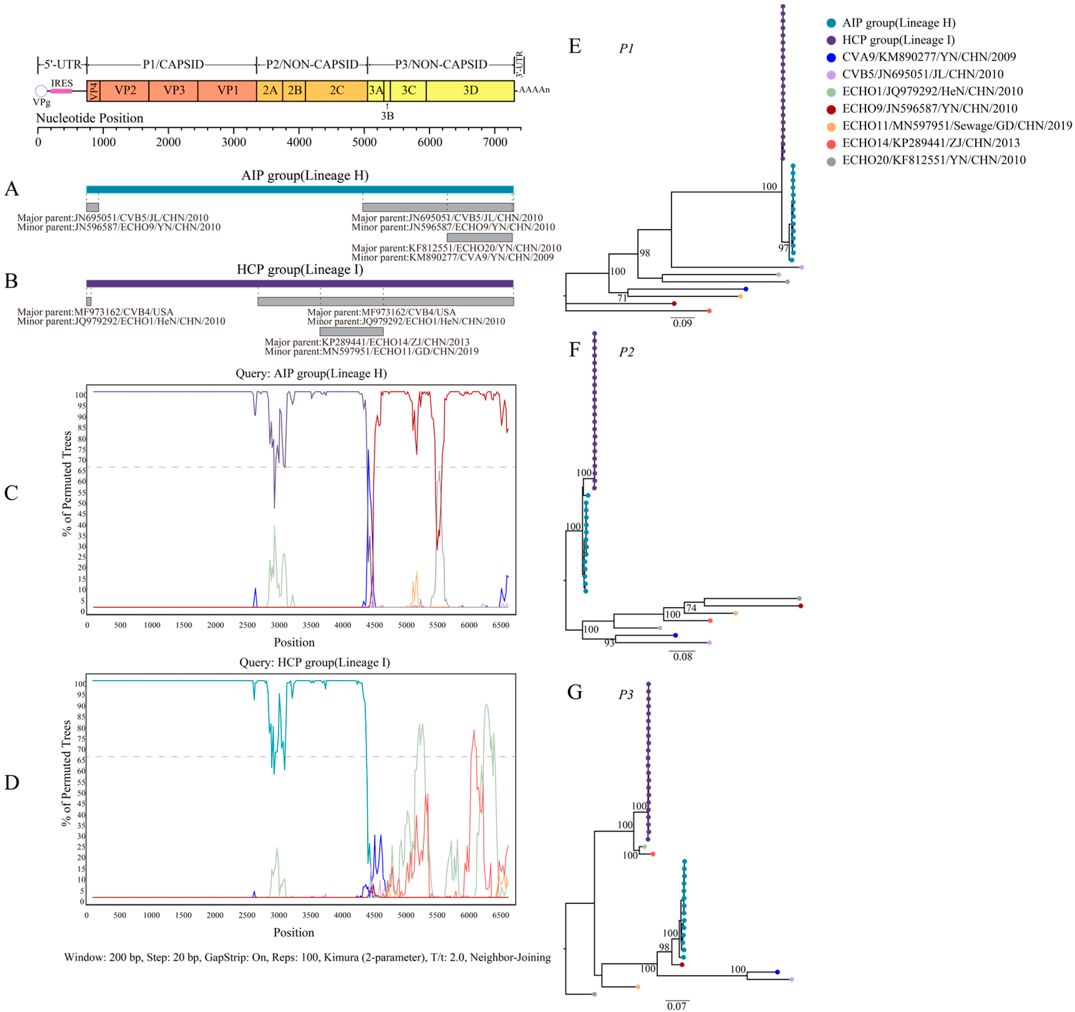 Viruses 15 00569 g002 Viruses 15 00569 g002