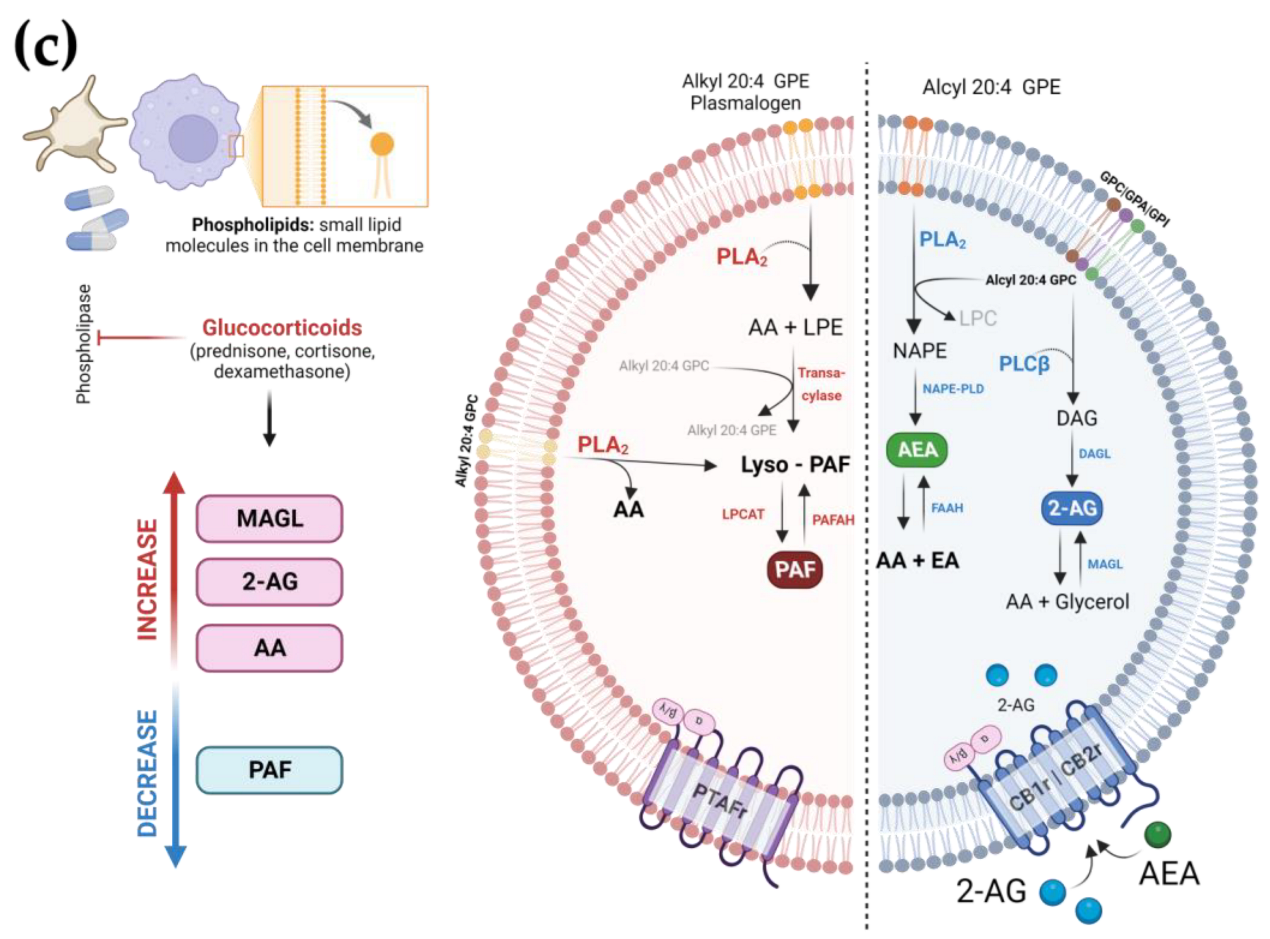 Viruses 15 00573 g005b