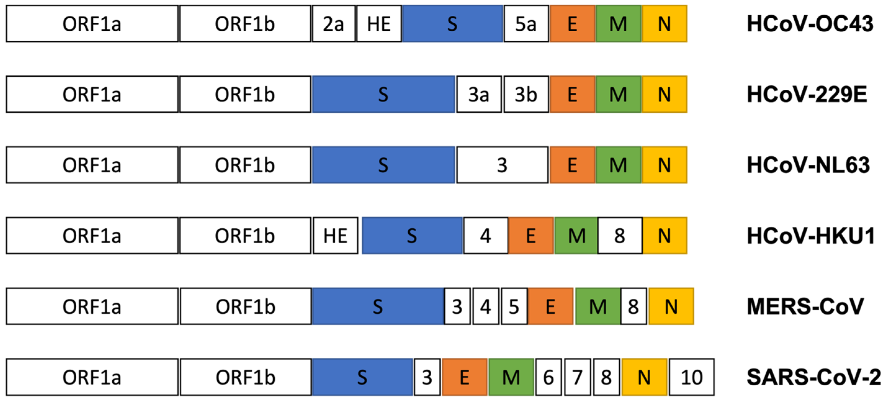 Viruses 15 00578 g002 Viruses 15 00578 g002