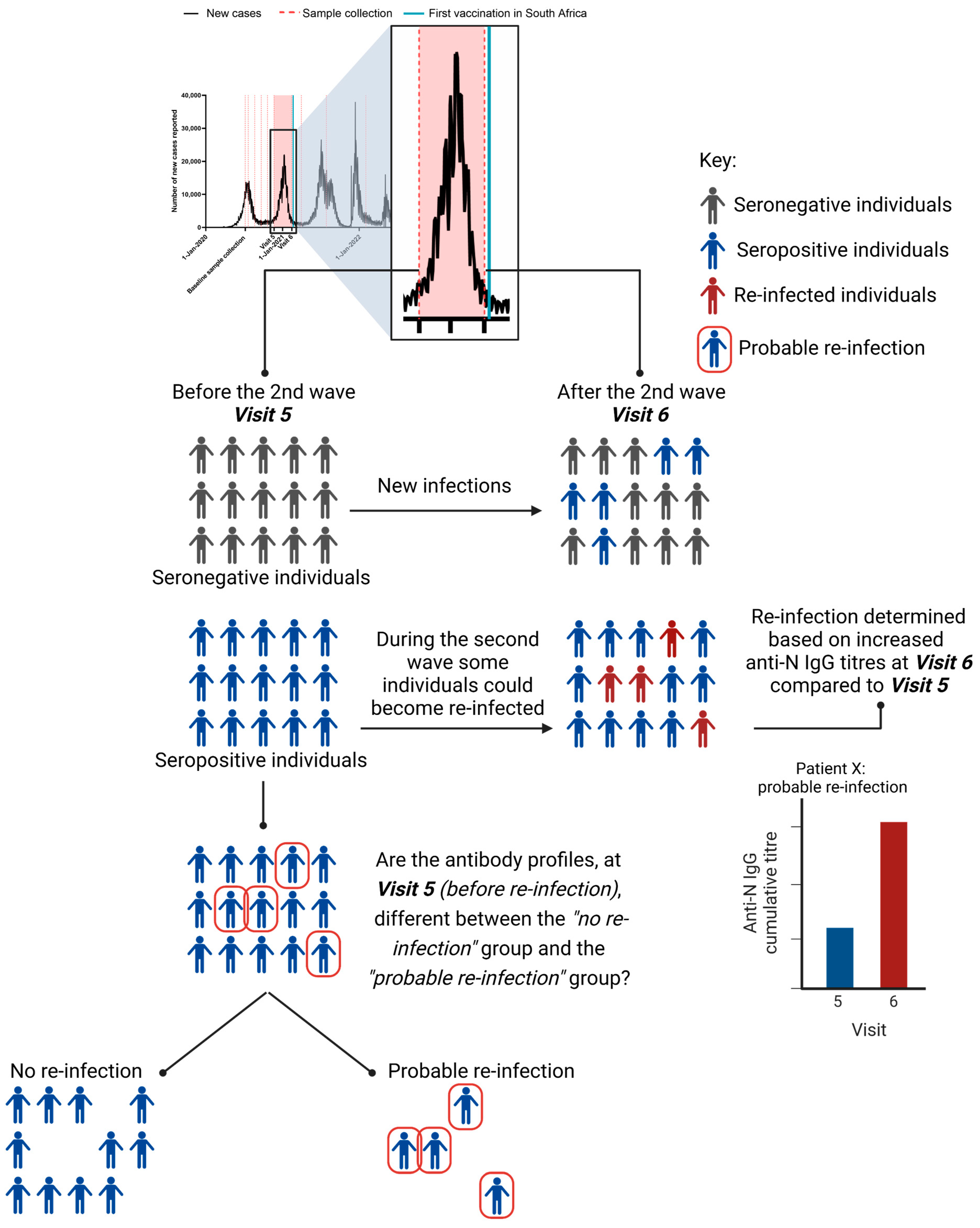 Viruses 15 00584 g001
