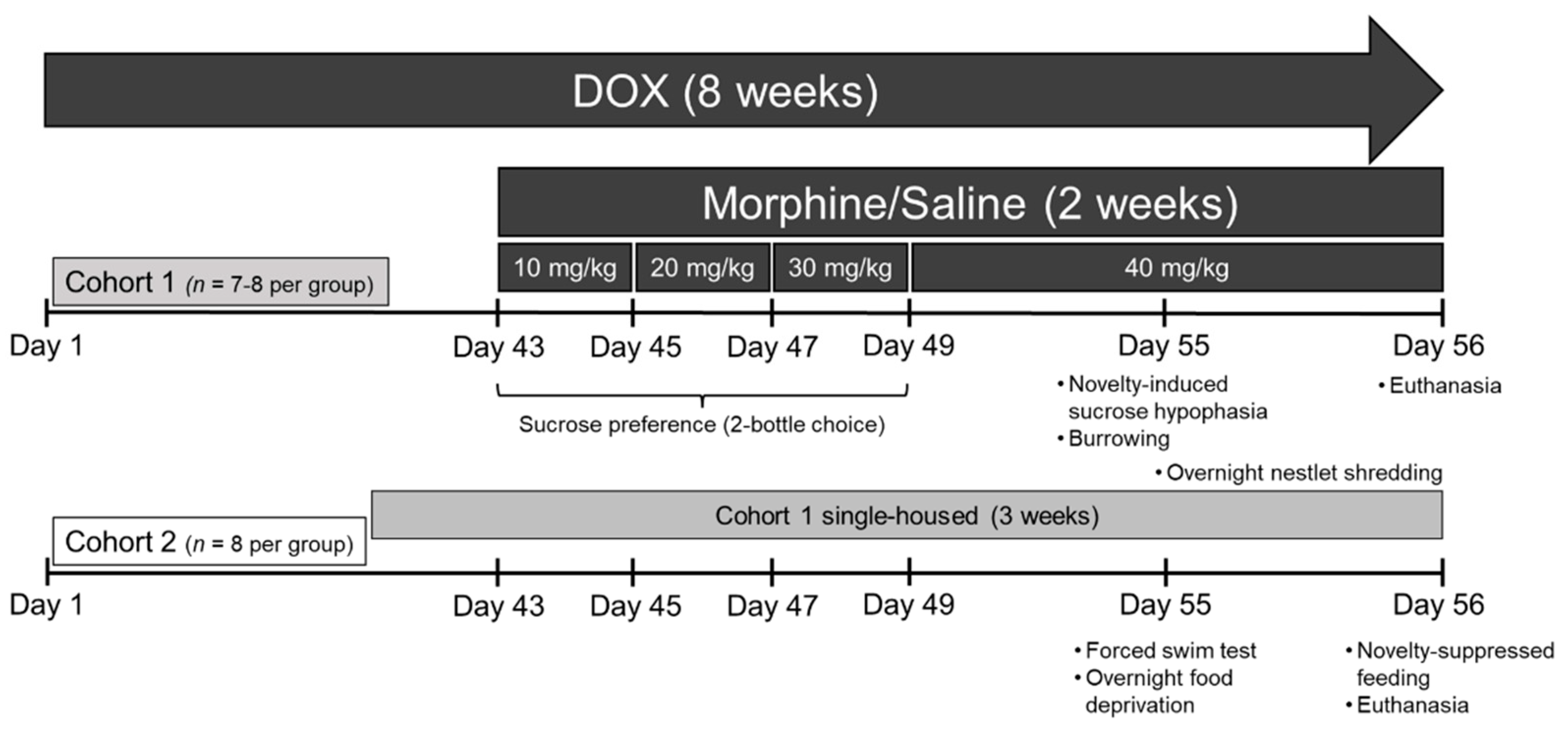 Viruses 15 00590 g001