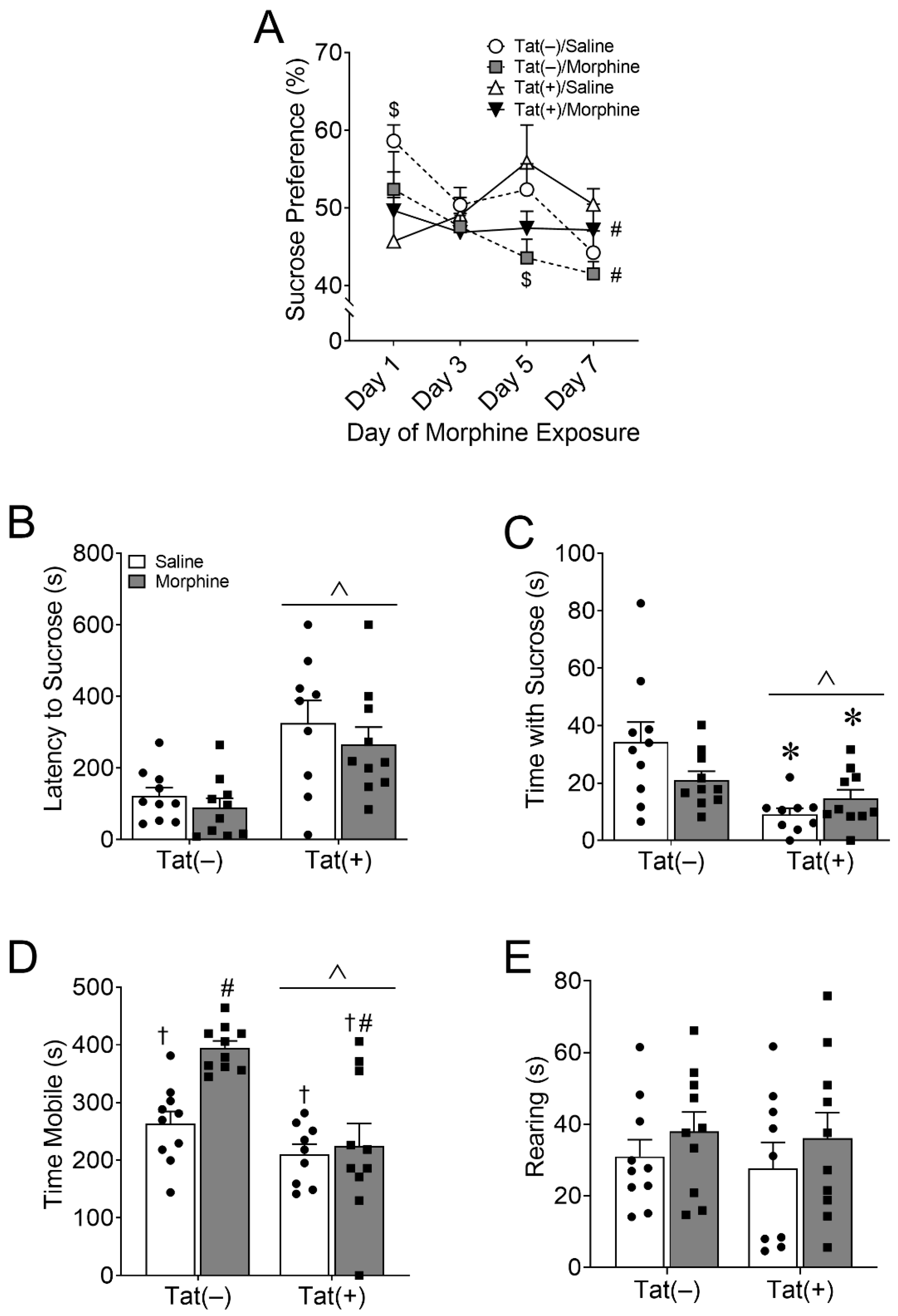 Viruses 15 00590 g002