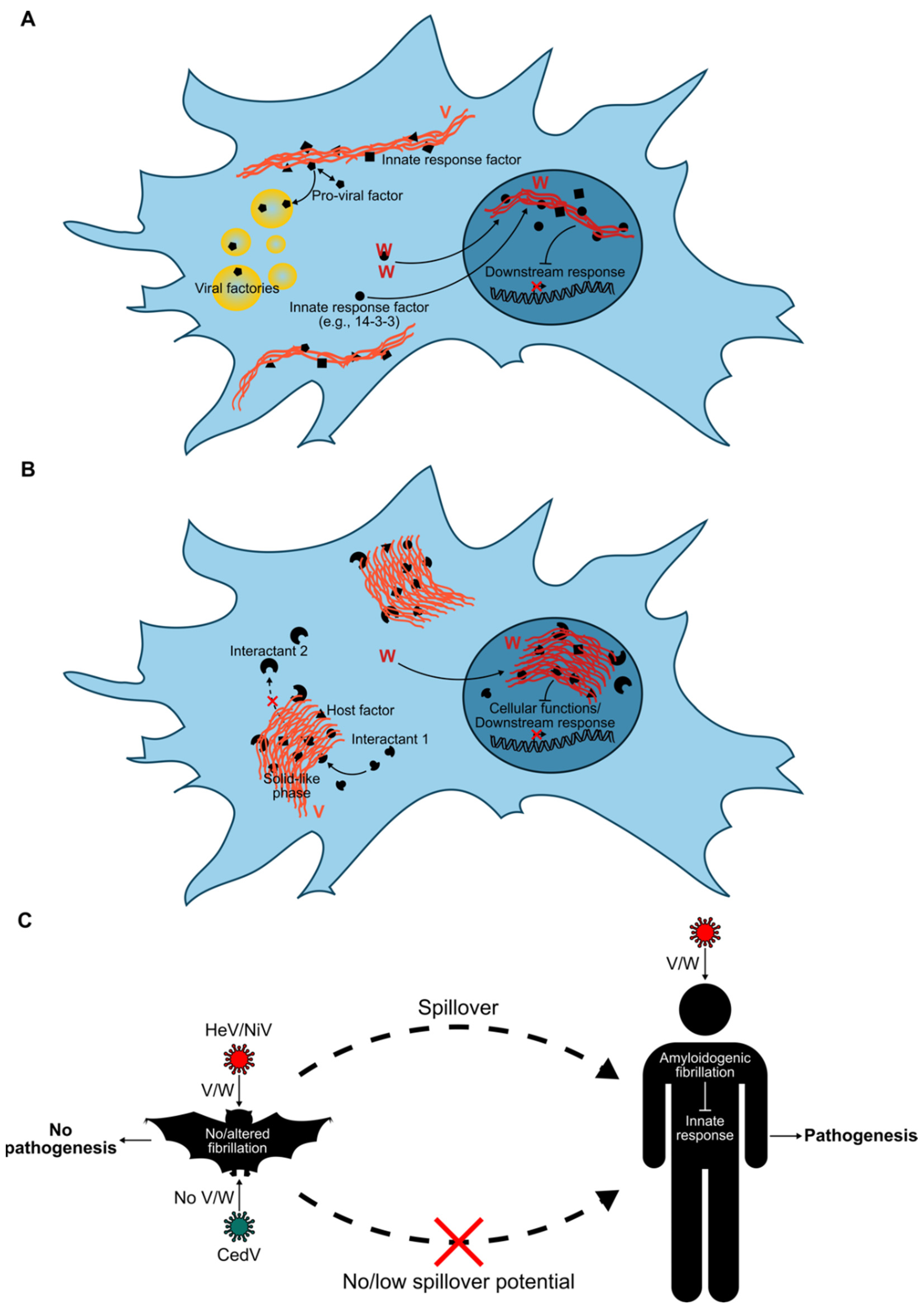 Viruses 15 00599 g002