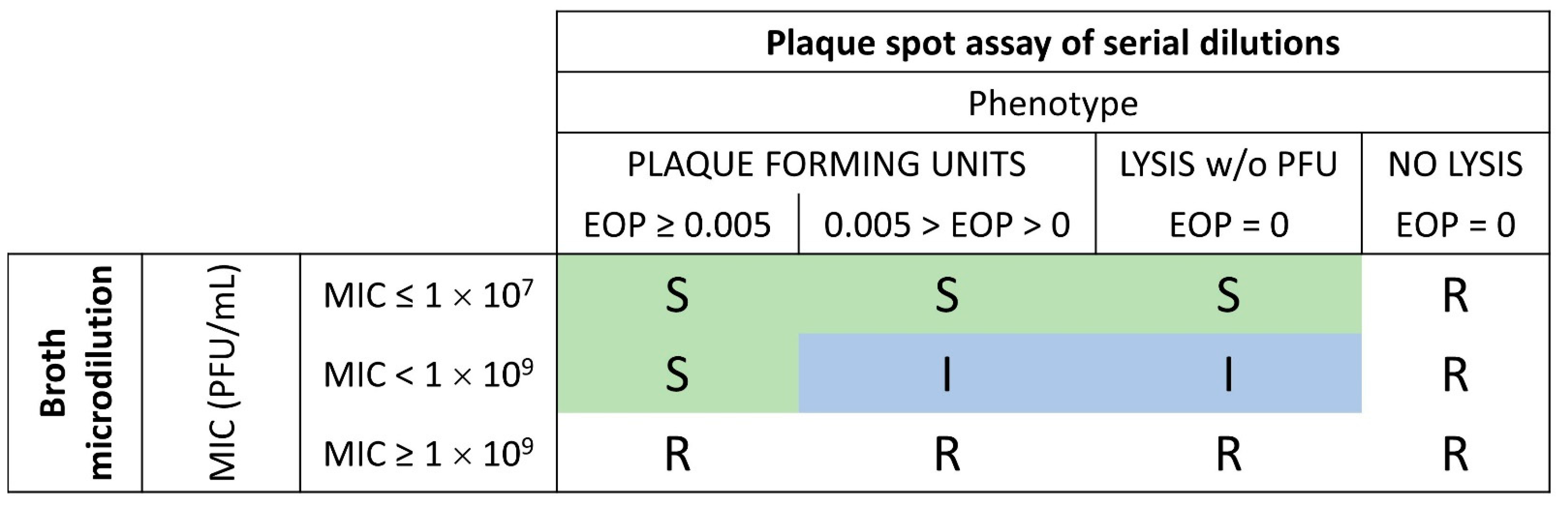 Viruses 15 00602 g004